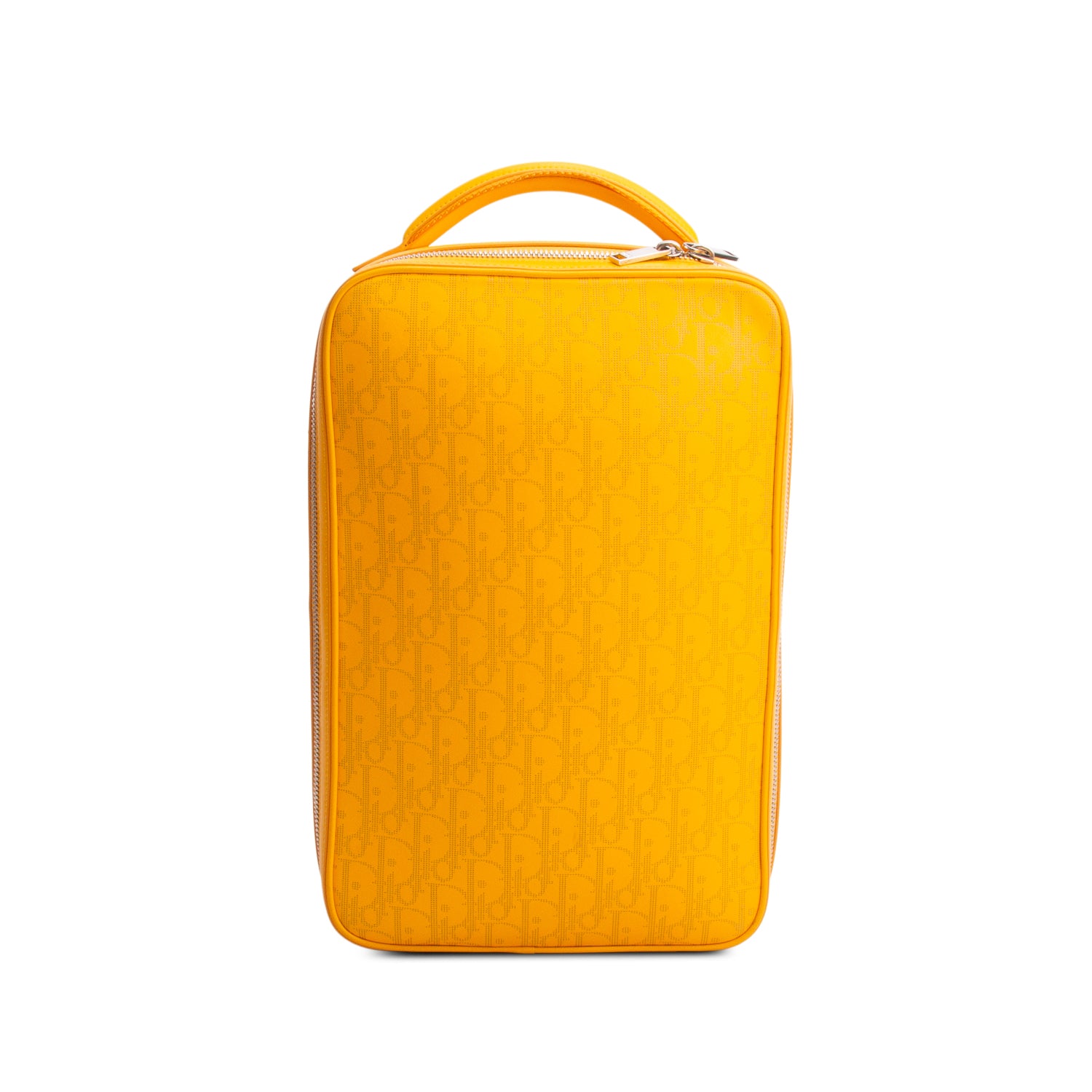 Christian Dior 2021 Yellow Calfskin Perforated Oblique Galaxy World Tour Shoe Case w/ Strap