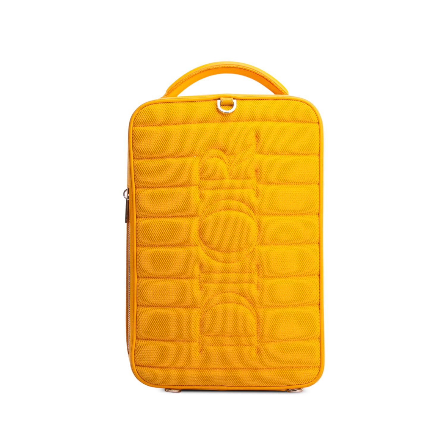 Christian Dior 2021 Yellow Calfskin Perforated Oblique Galaxy World Tour Shoe Case w/ Strap