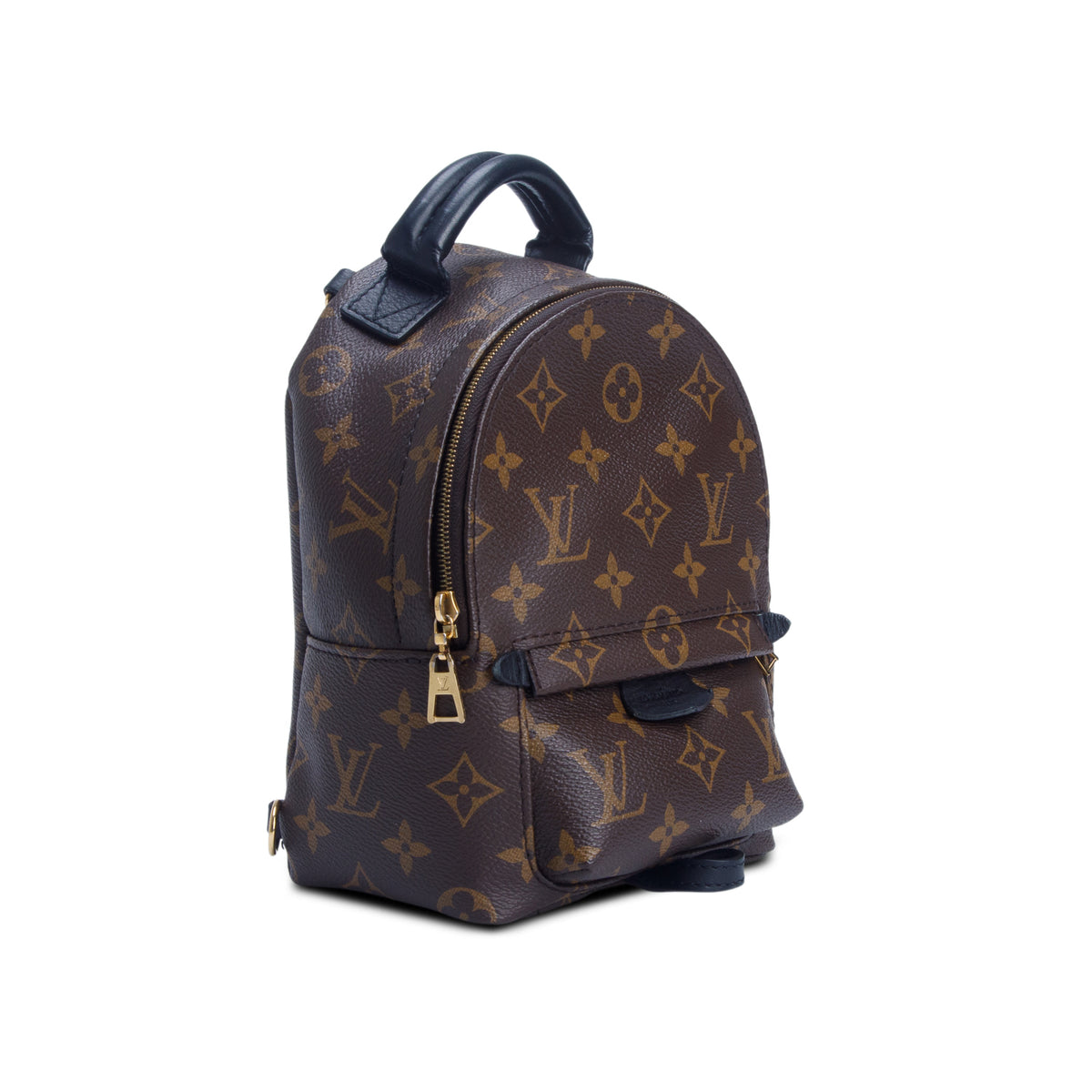 Louis Vuitton 2020 Monogram Palm Springs Mini Backpack