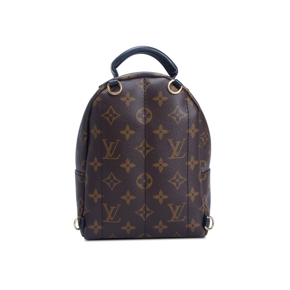 Louis Vuitton 2020 Monogram Palm Springs Mini Backpack