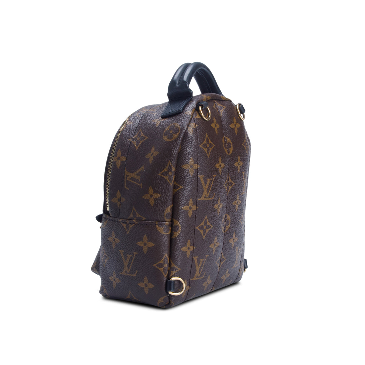 Louis Vuitton 2020 Monogram Palm Springs Mini Backpack