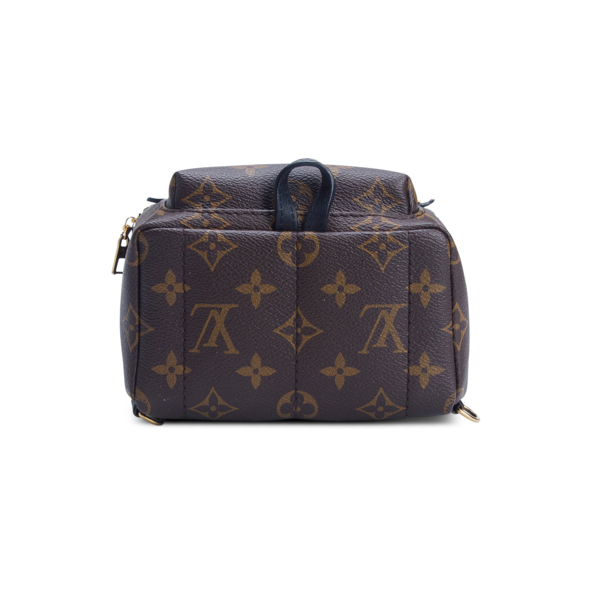 Louis Vuitton 2020 Monogram Palm Springs Mini Backpack
