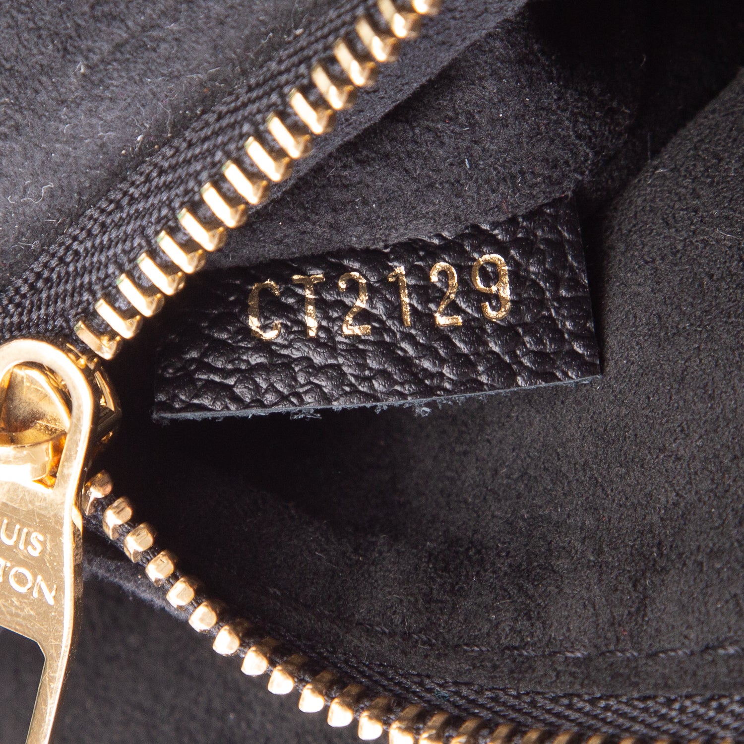 Louis Vuitton Monogram Saint Placide