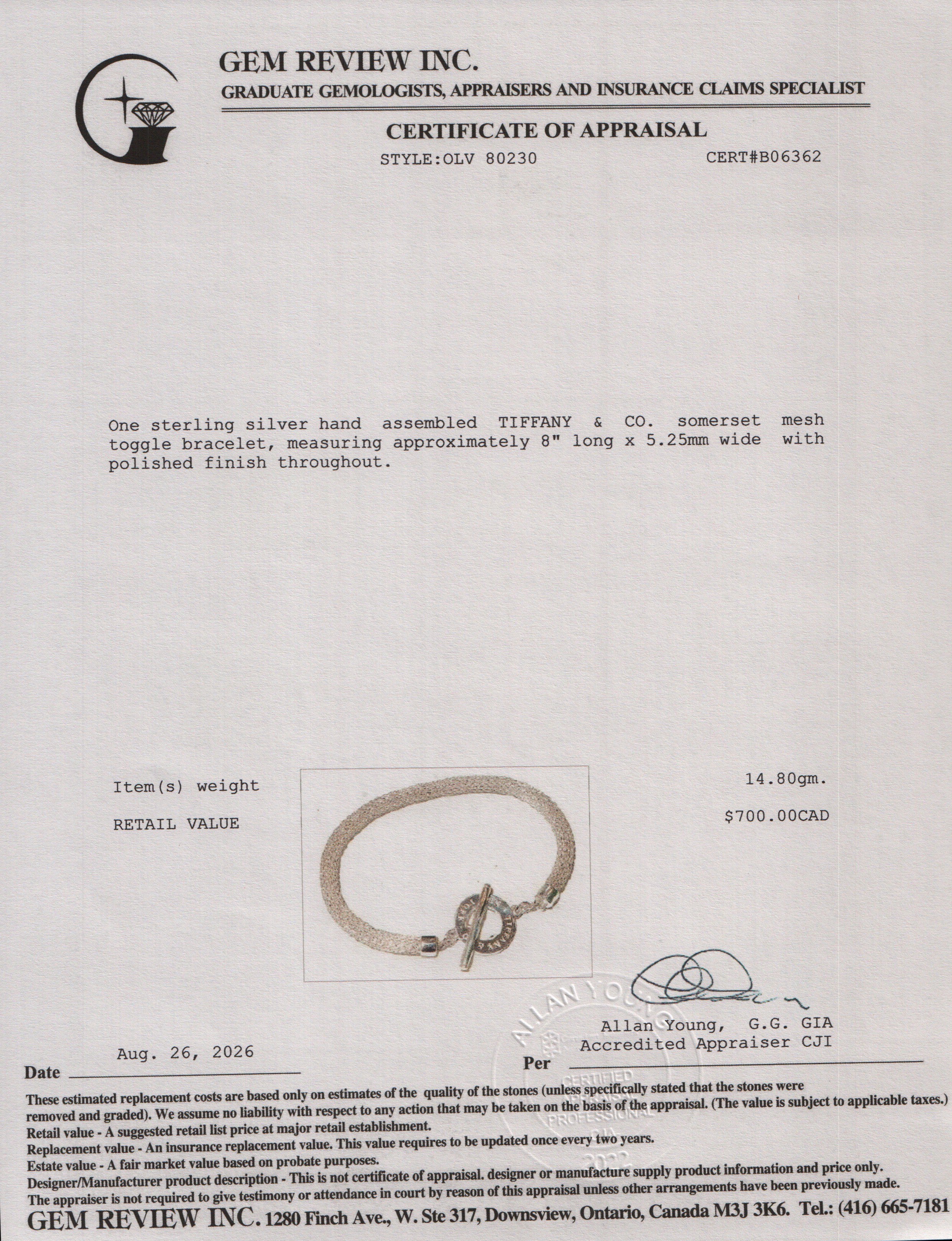 Tiffany & Co. Sterling Silver Somerset Mesh Toggle Bracelet
