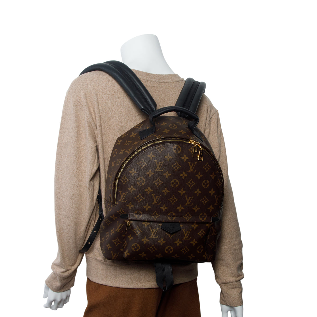 Louis Vuitton Monogram Palm Springs Backpack MM