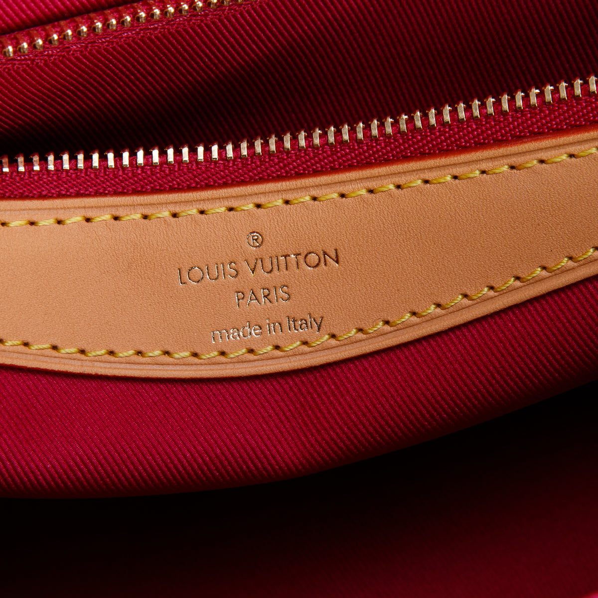 Louis Vuitton Monogram Diane w/ Strap