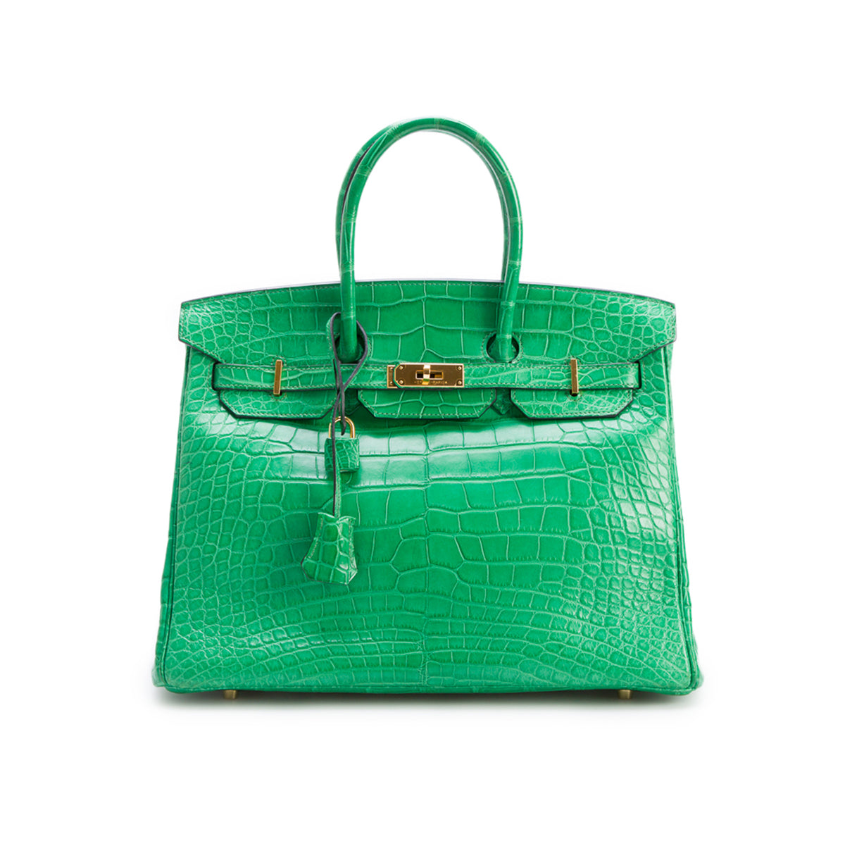 Hermes Cactus Matte Missippian Alligator Birkin 35