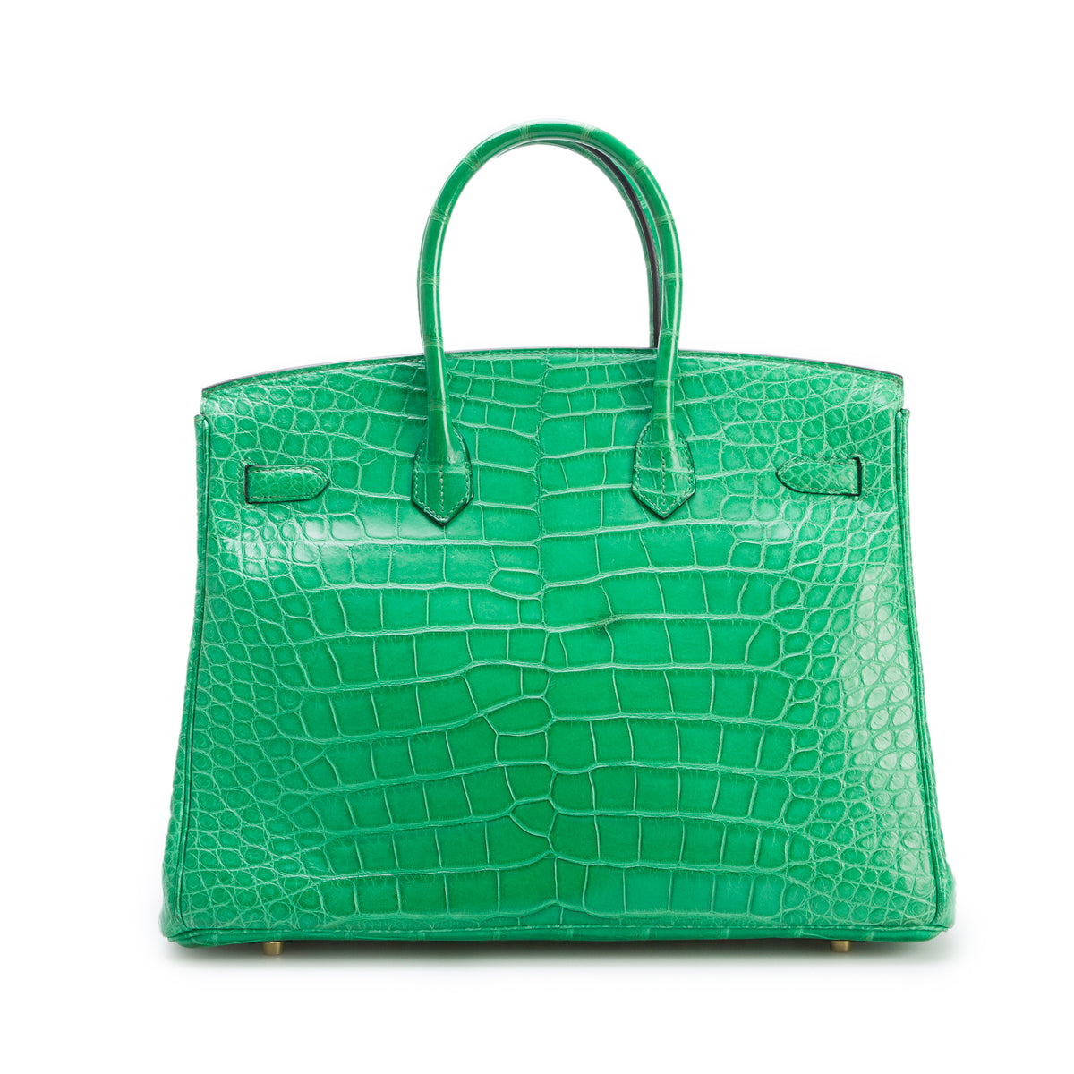 Hermes Cactus Matte Missippian Alligator Birkin 35