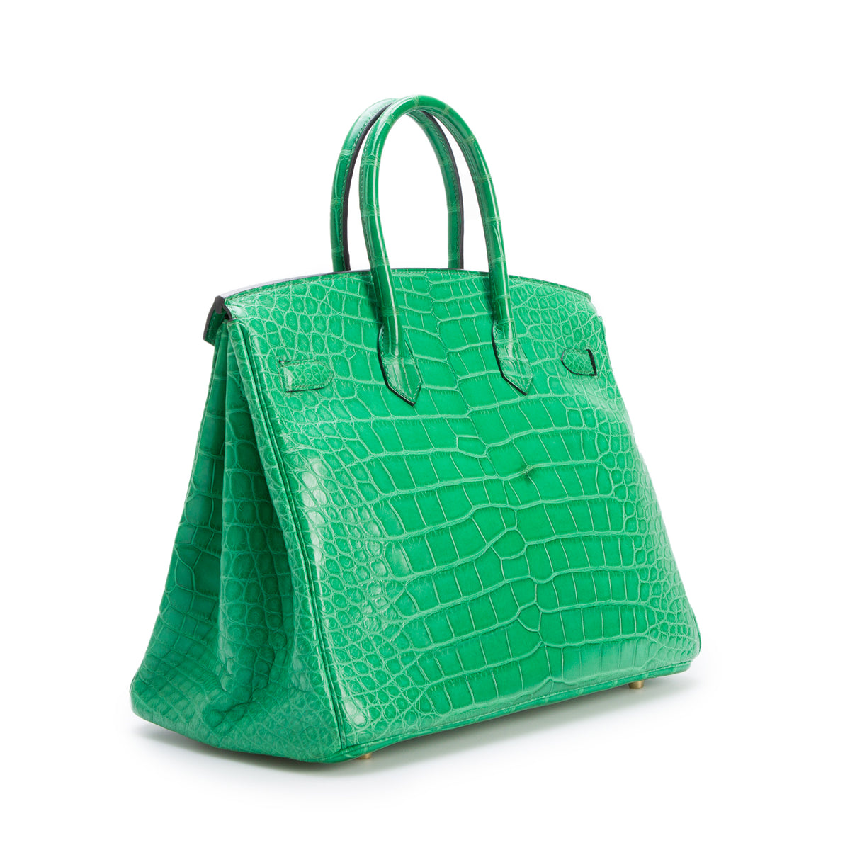 Hermes Cactus Matte Missippian Alligator Birkin 35