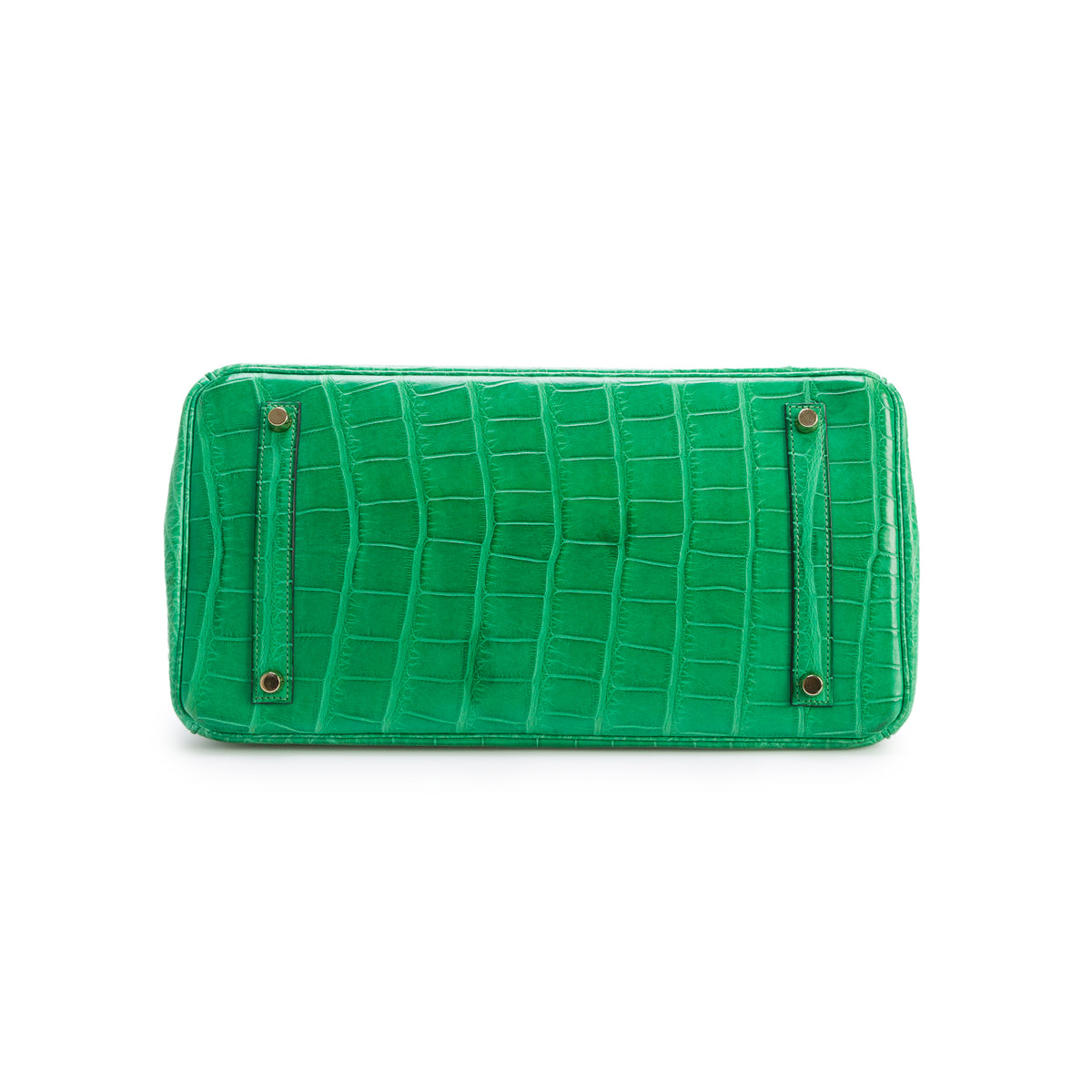 Hermes Cactus Matte Missippian Alligator Birkin 35