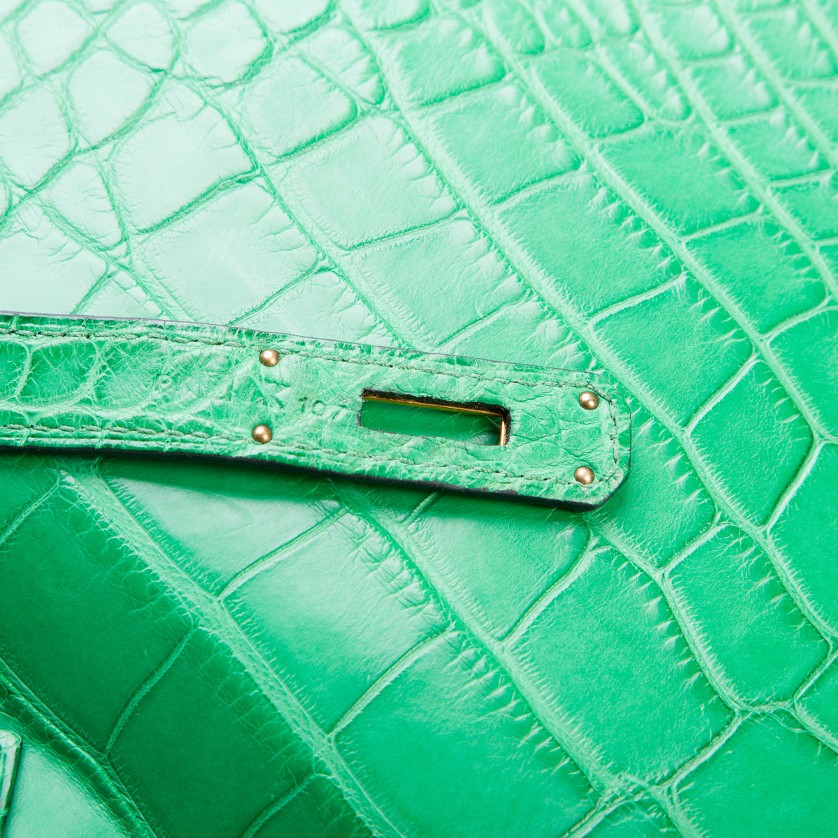 Hermes Cactus Matte Missippian Alligator Birkin 35