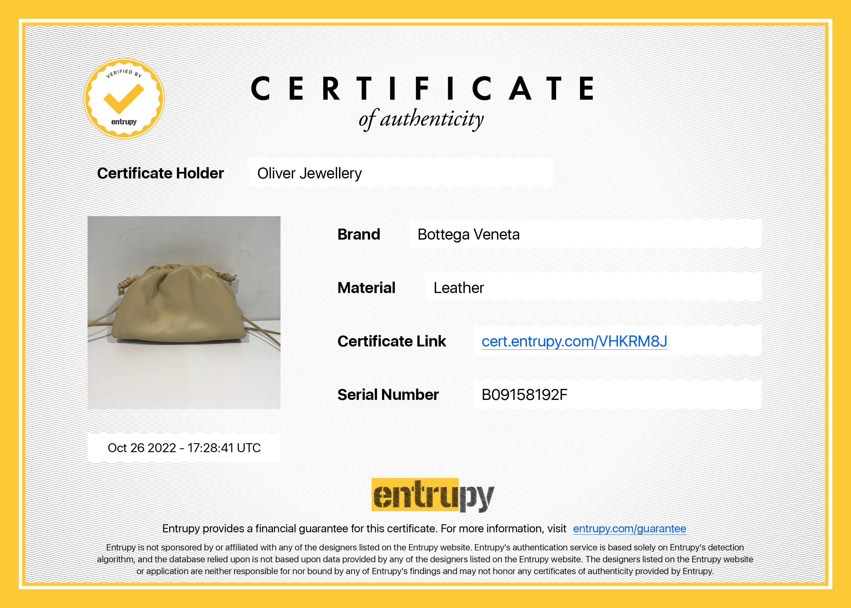 Bottega Veneta The Mini Pouch w/ Box