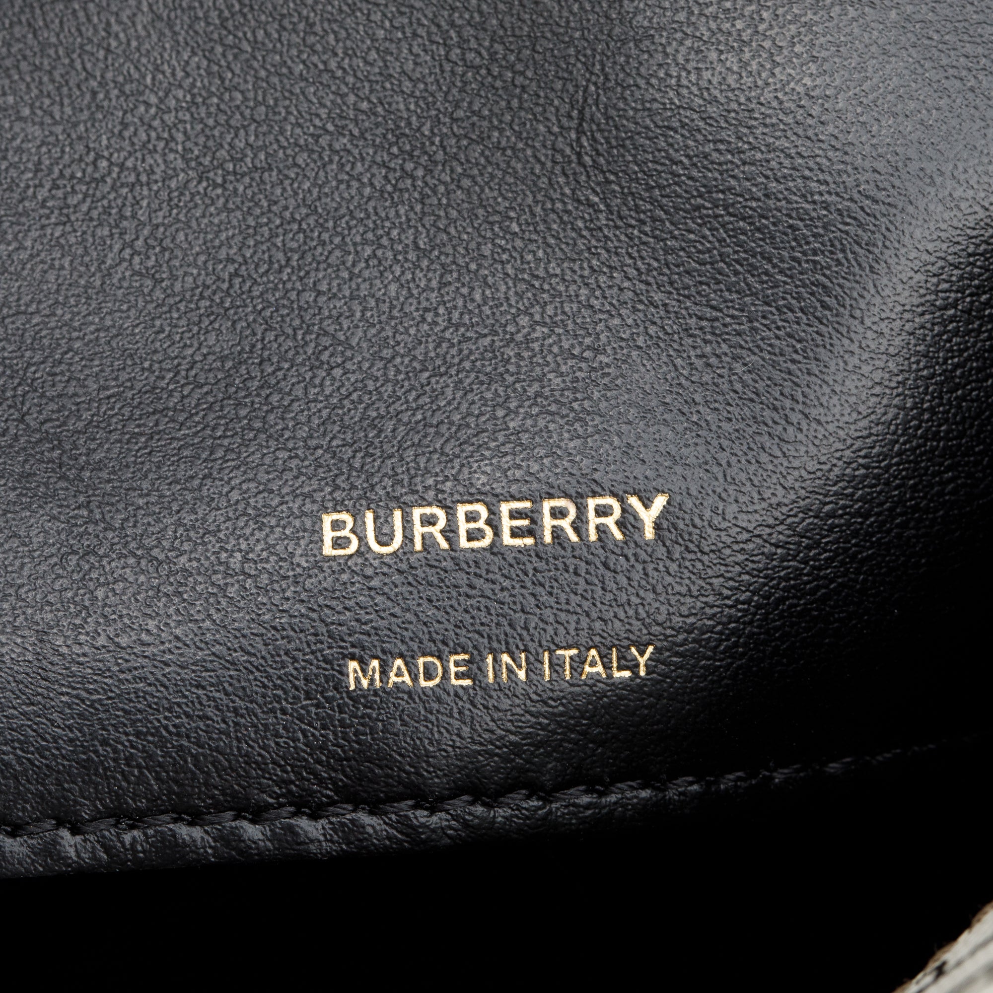 Burberry Brown TB Monogram Stripe E-Canvas Blue Micro Camera Crossbody Bag