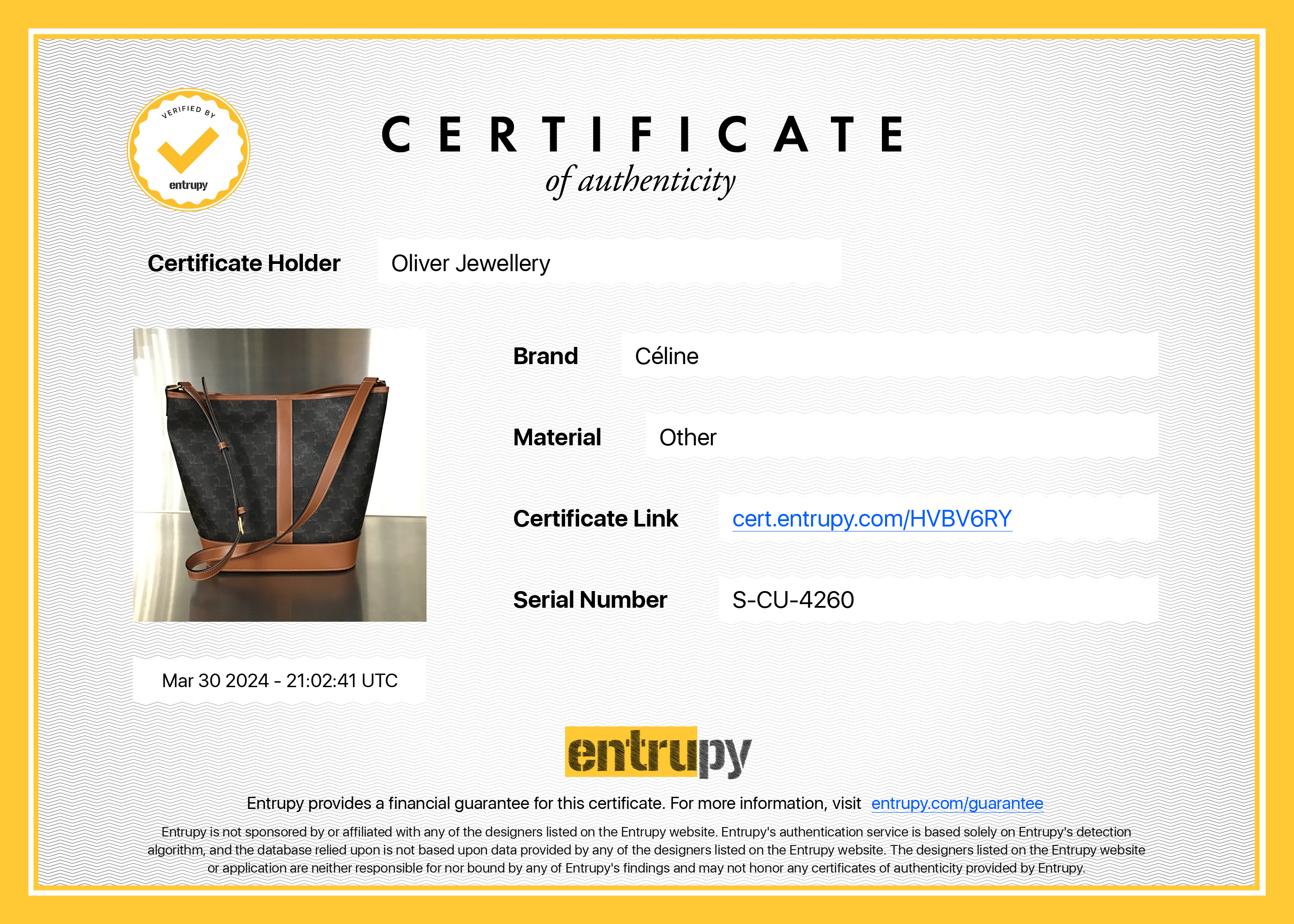 Celine 2022 Brown Triomphe Canvas Medium Bucket Bag