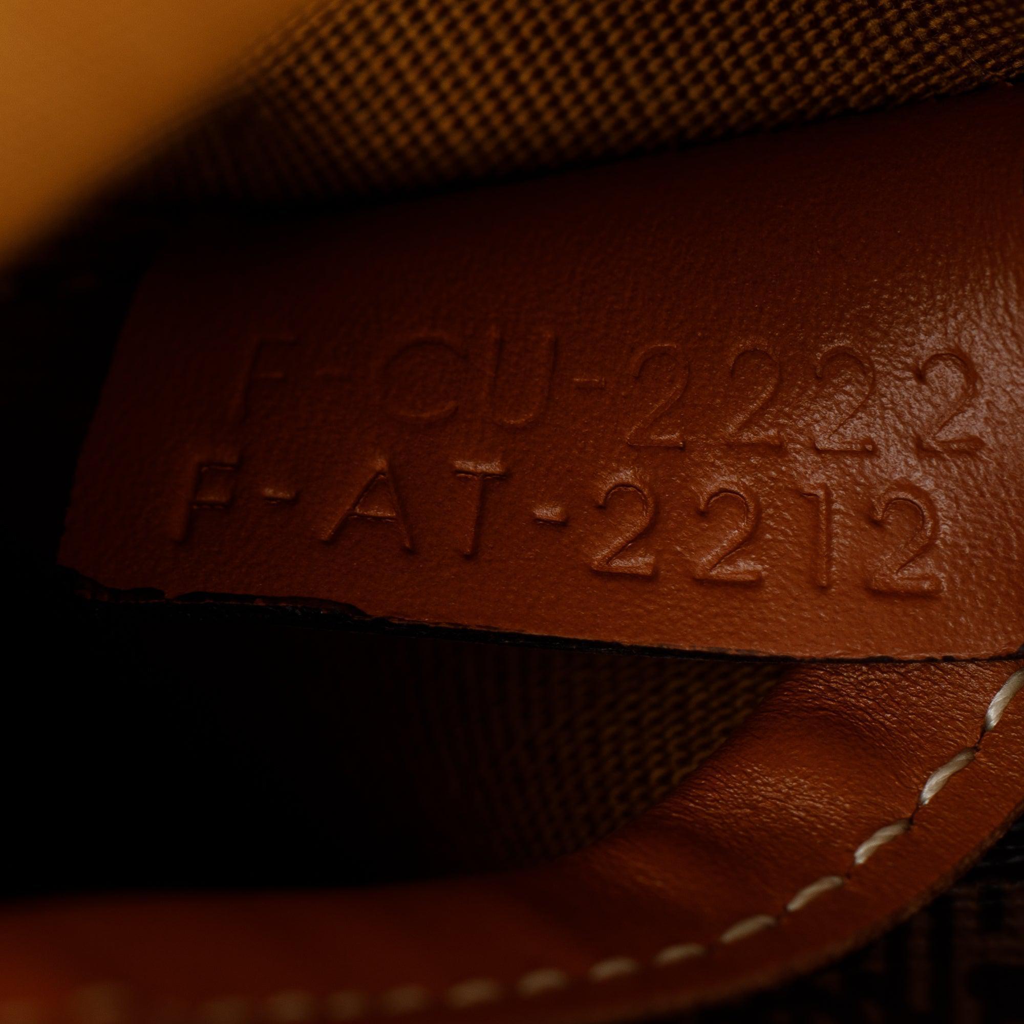 Celine 2022 Brown Triomphe Canvas Small Bucket Bag