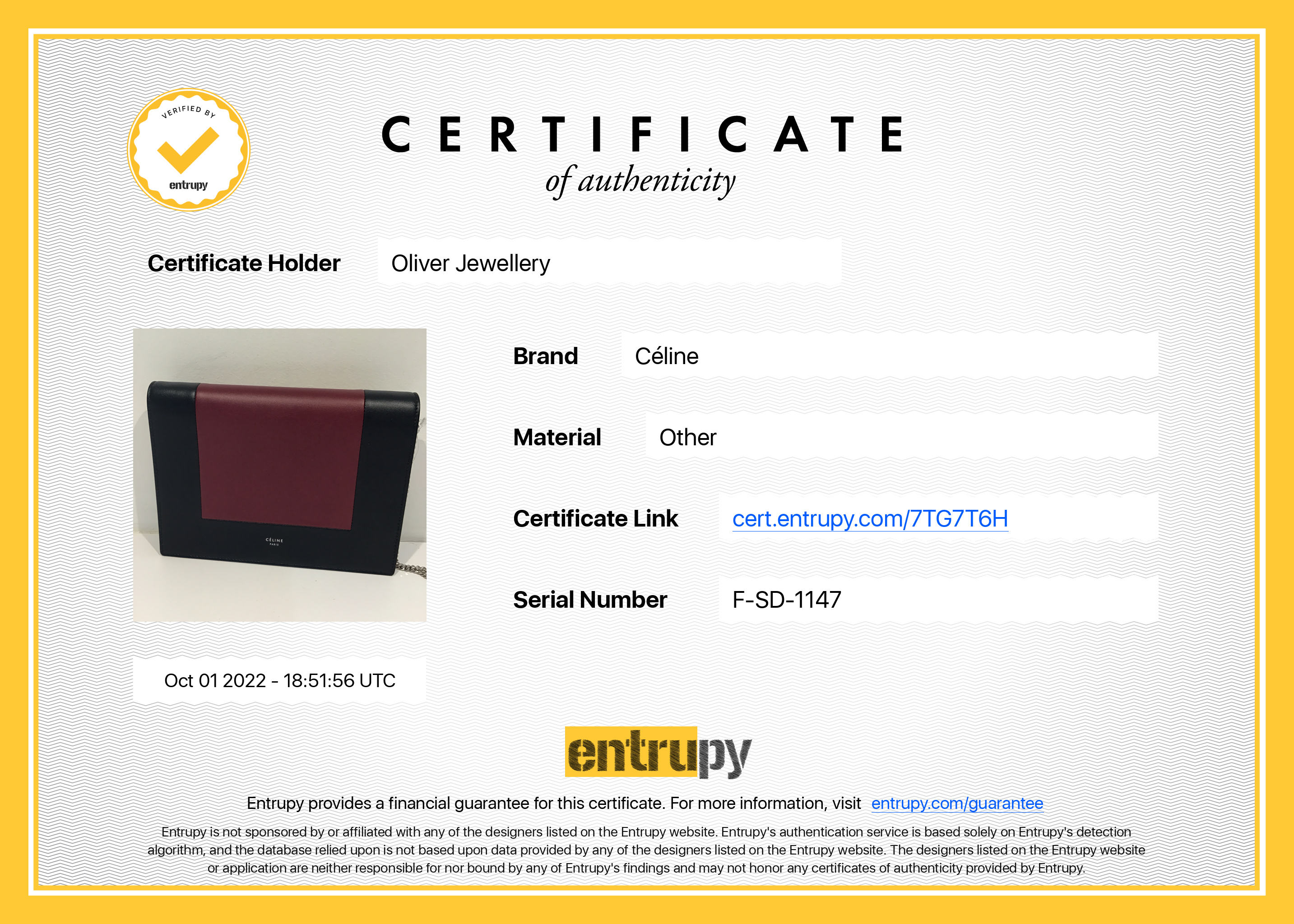 Celine Frame Evening Clutch on Chain