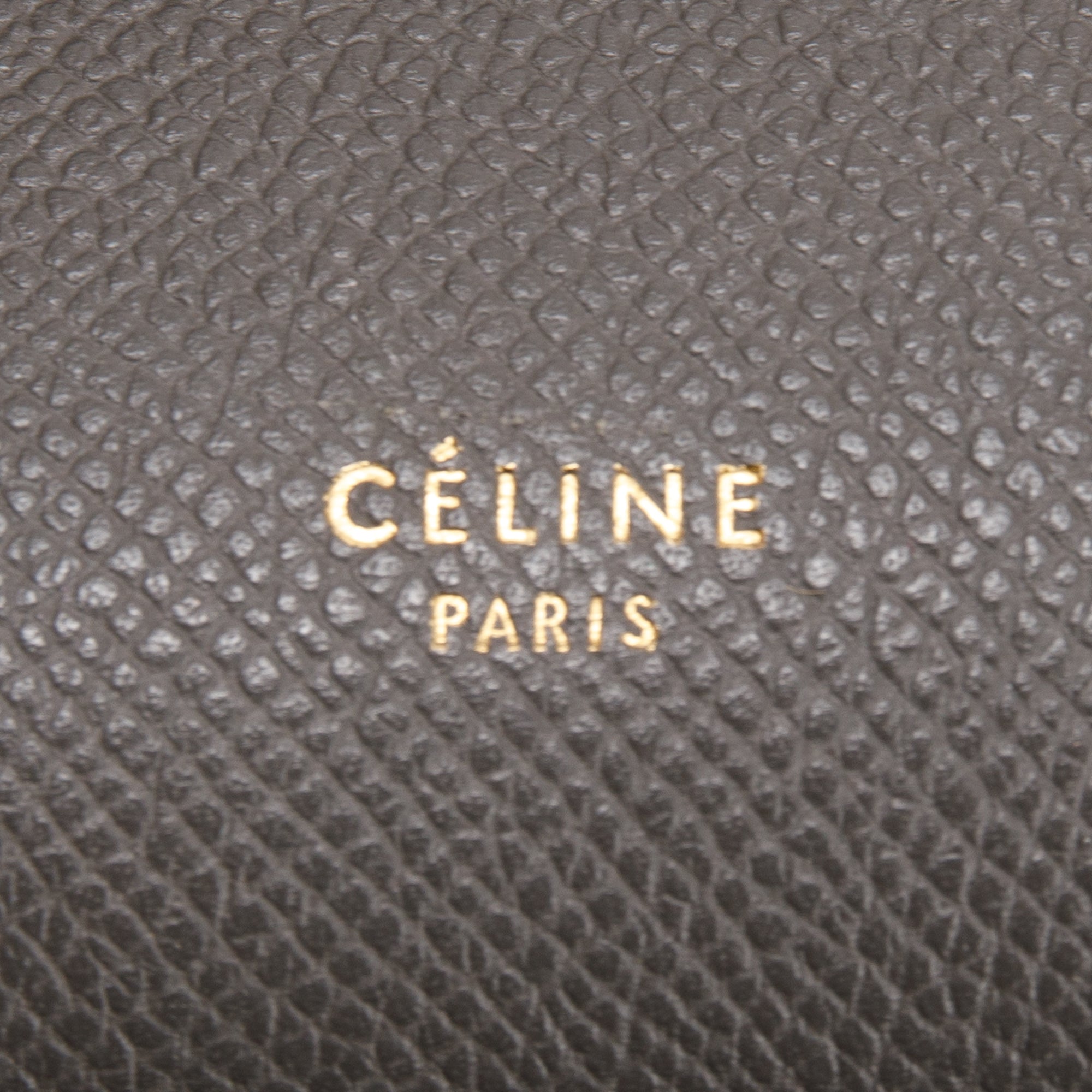 Celine Mini Belt Bag w/ Strap