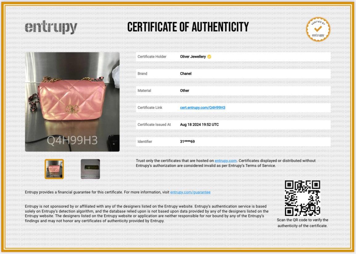 Chanel 2021 Pink Iridescent Lambskin Leather Medium 19 Flap Bag w/ Box & Authenticity Card