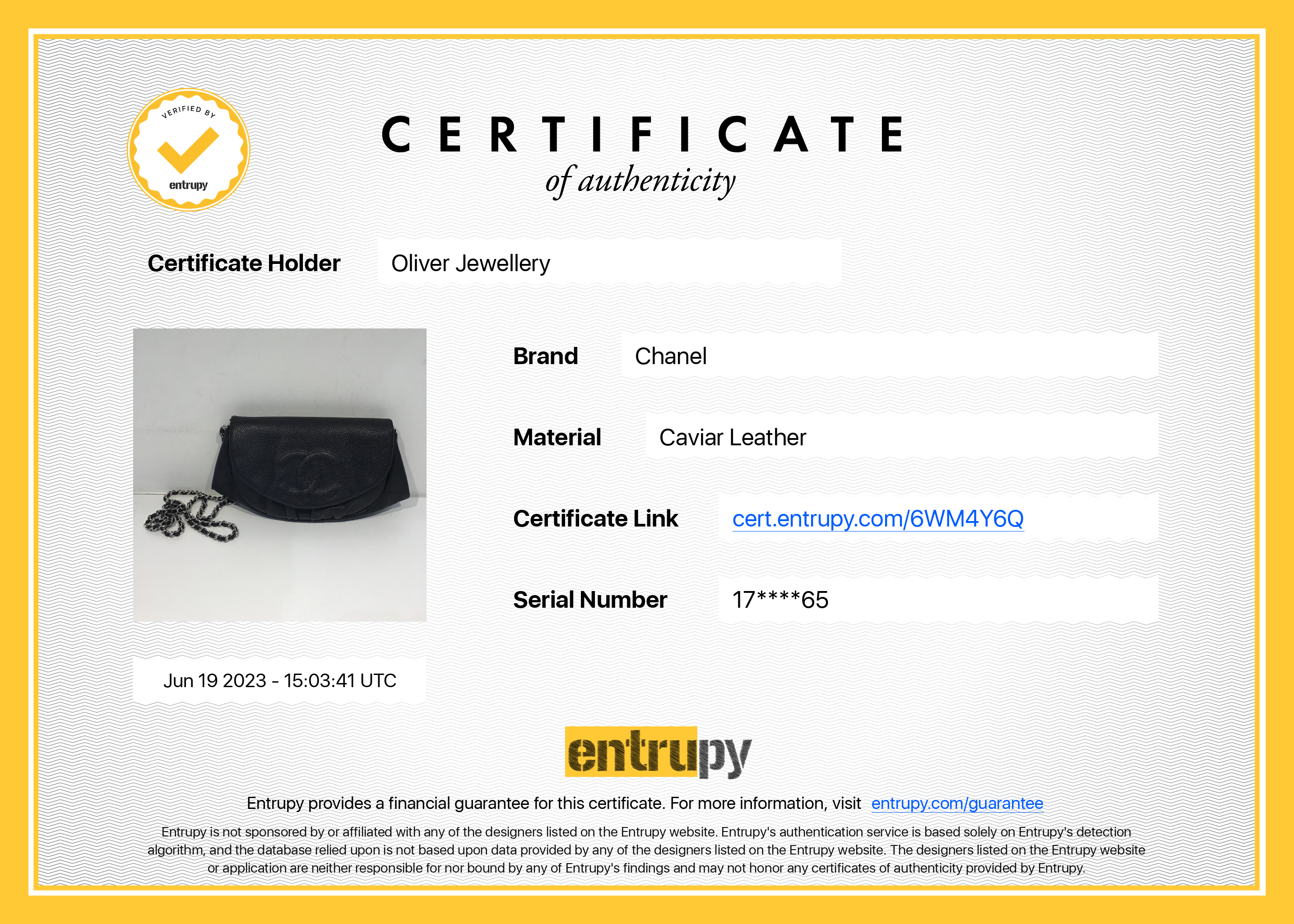 Chanel Half Moon Wallet On Chain w/ Authenticity Card