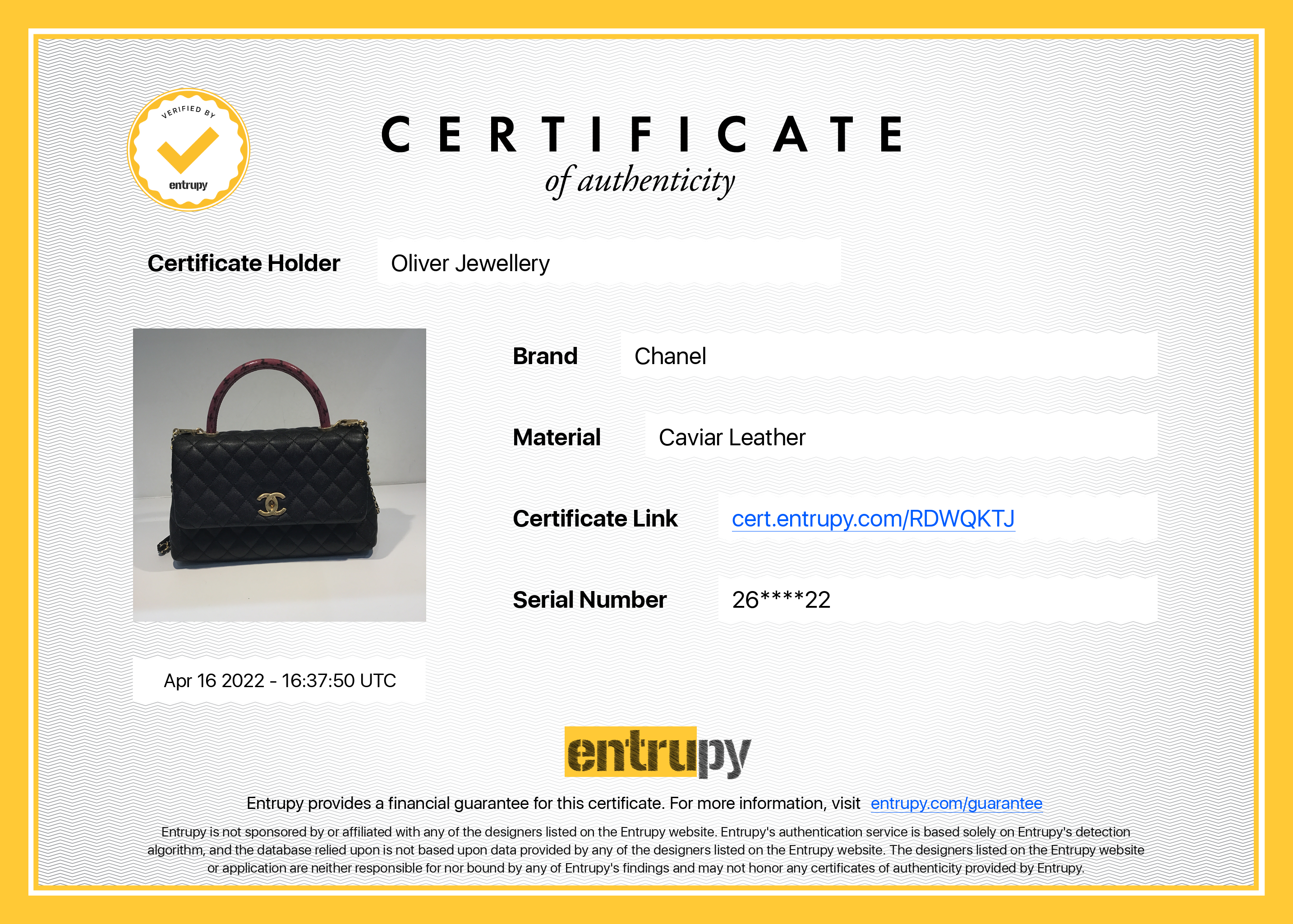 Chanel Medium Python-Trimmed Coco Handle Bag w/ Box, Receipt, Authenticity Card