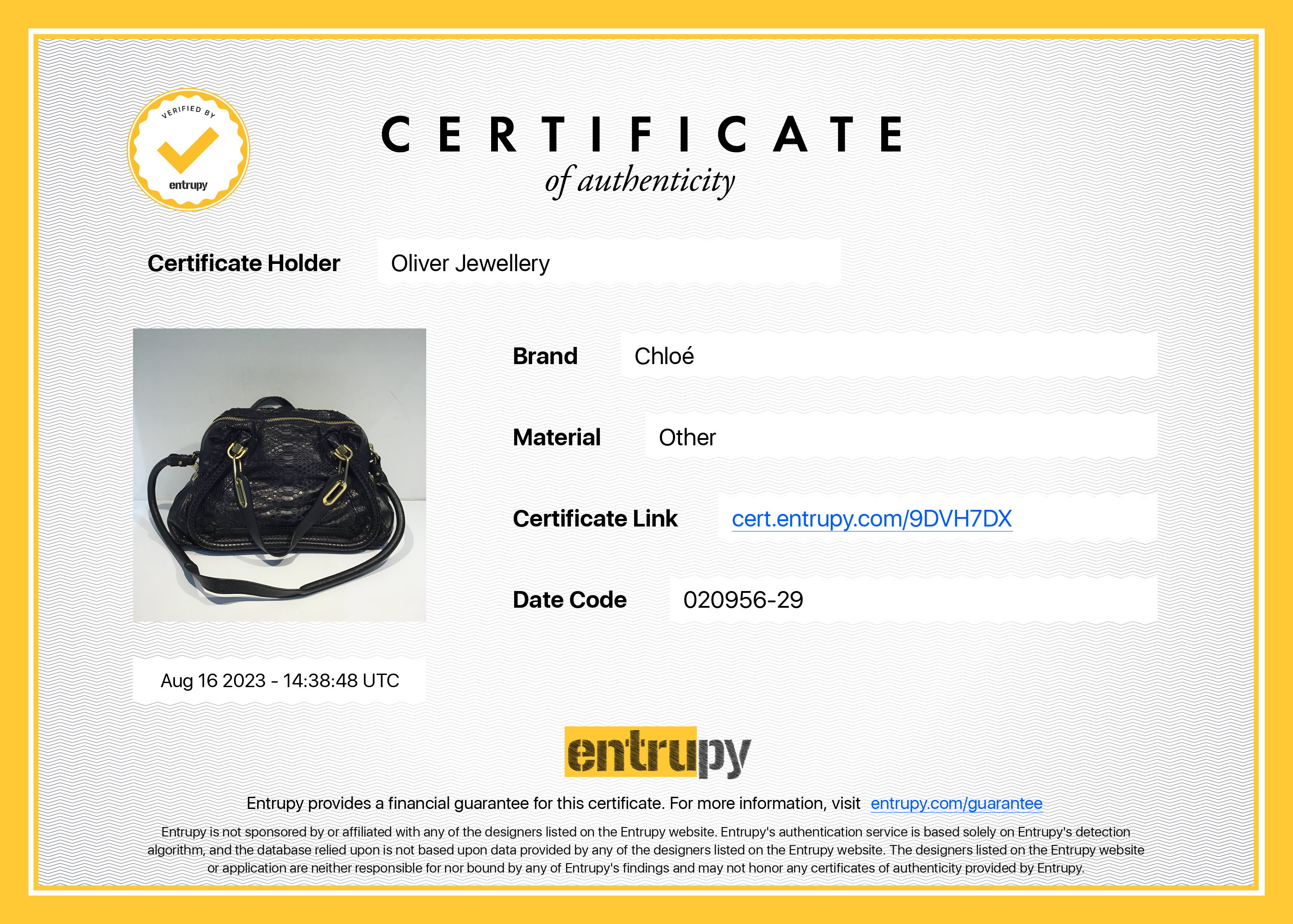 Chloe Black Python Medium Paraty Bag