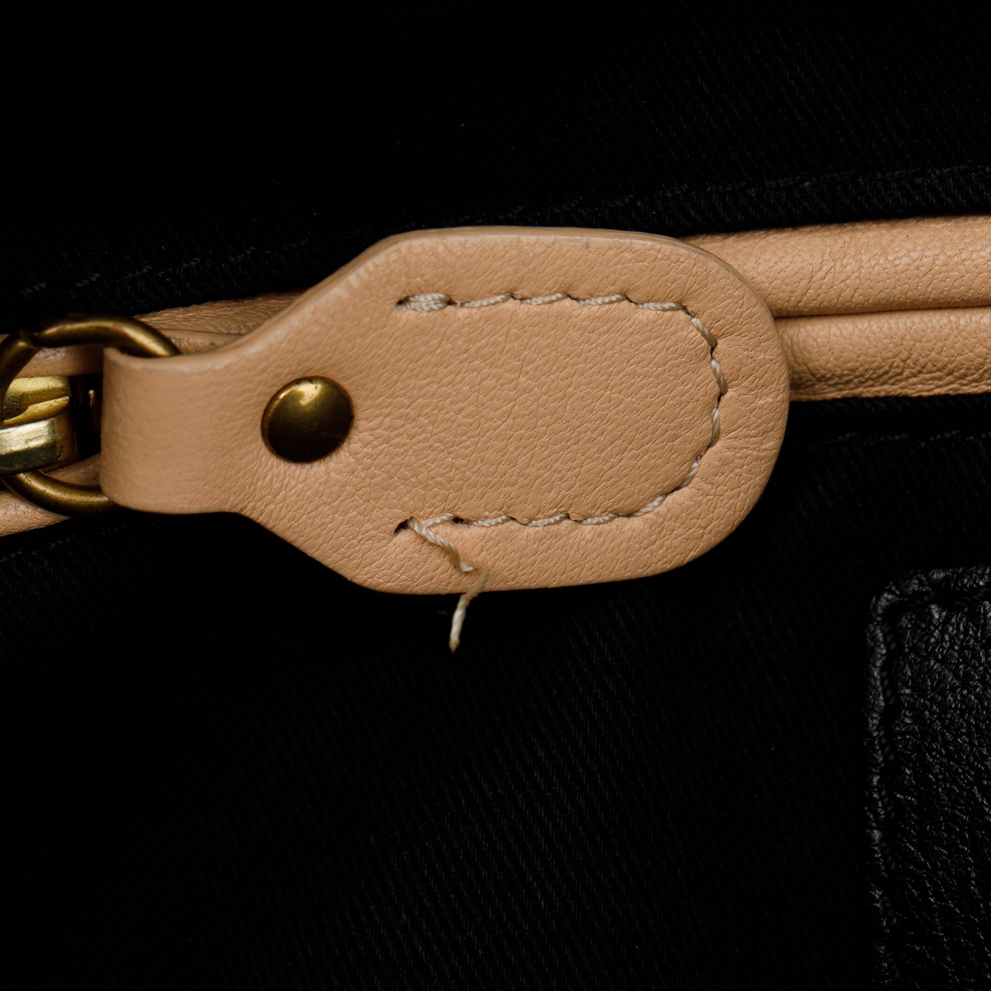 Chloe Black Python Medium Paraty Bag