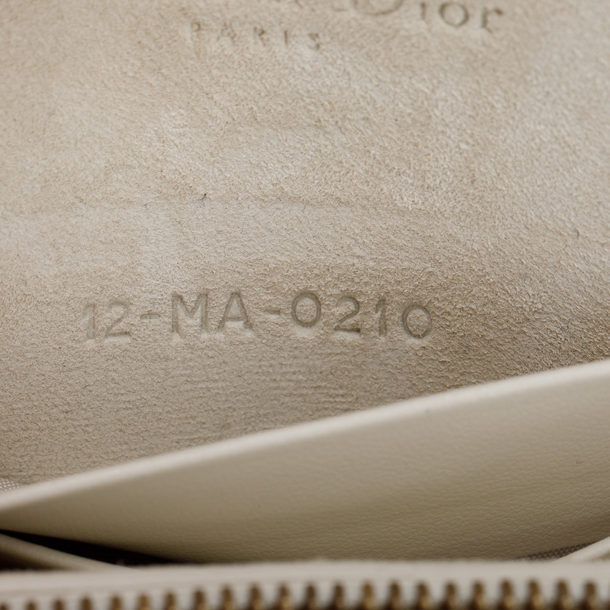 Christian Dior 2020 Jardin Naturel Print Saddle Belt Pouch