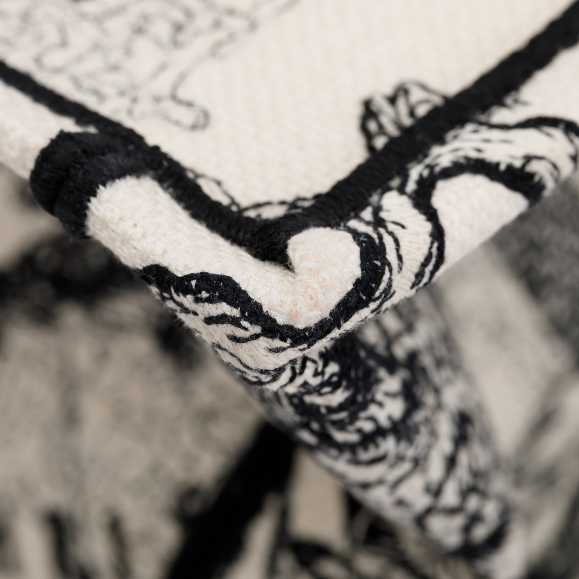 Christian Dior 2022 Latte & Black Toile de Jouy Zodiac Embroidery Small Book Tote