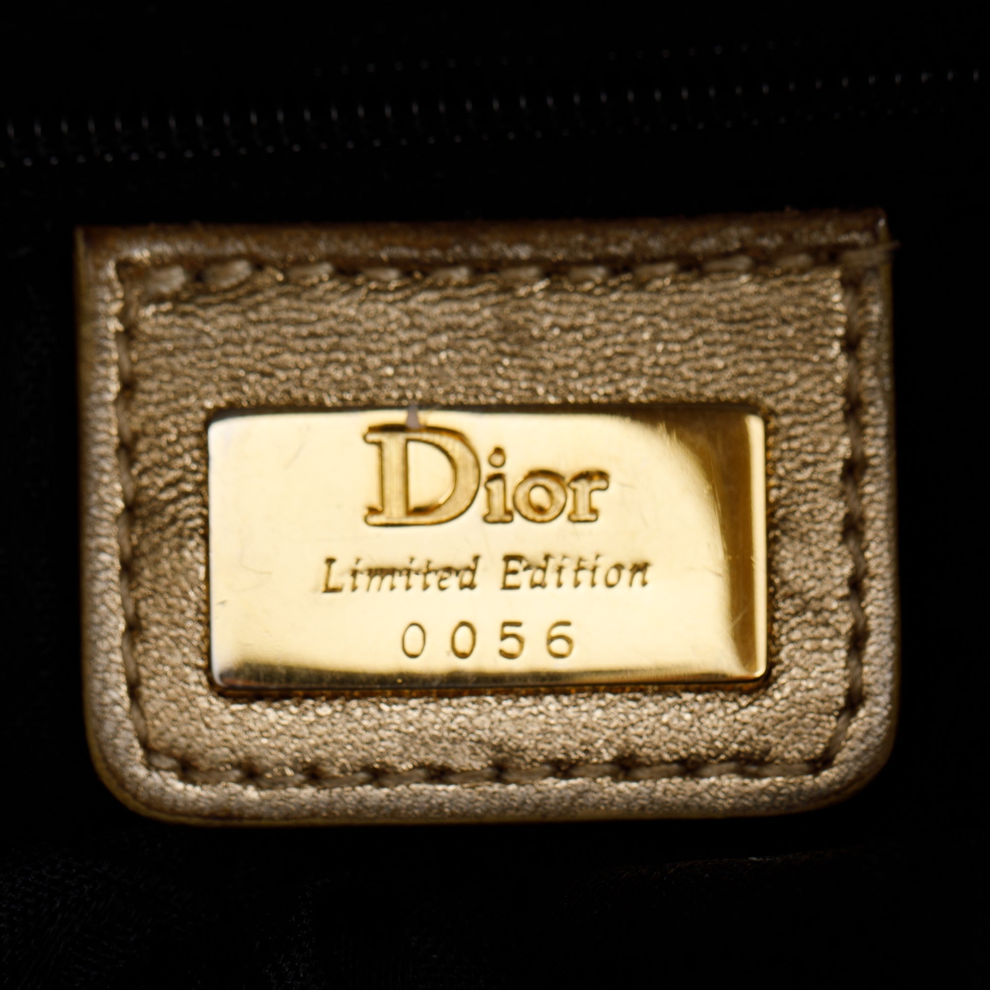 Christian Dior Limited Edition Grey Canvas Sequin-Embellished Saddle Bag
