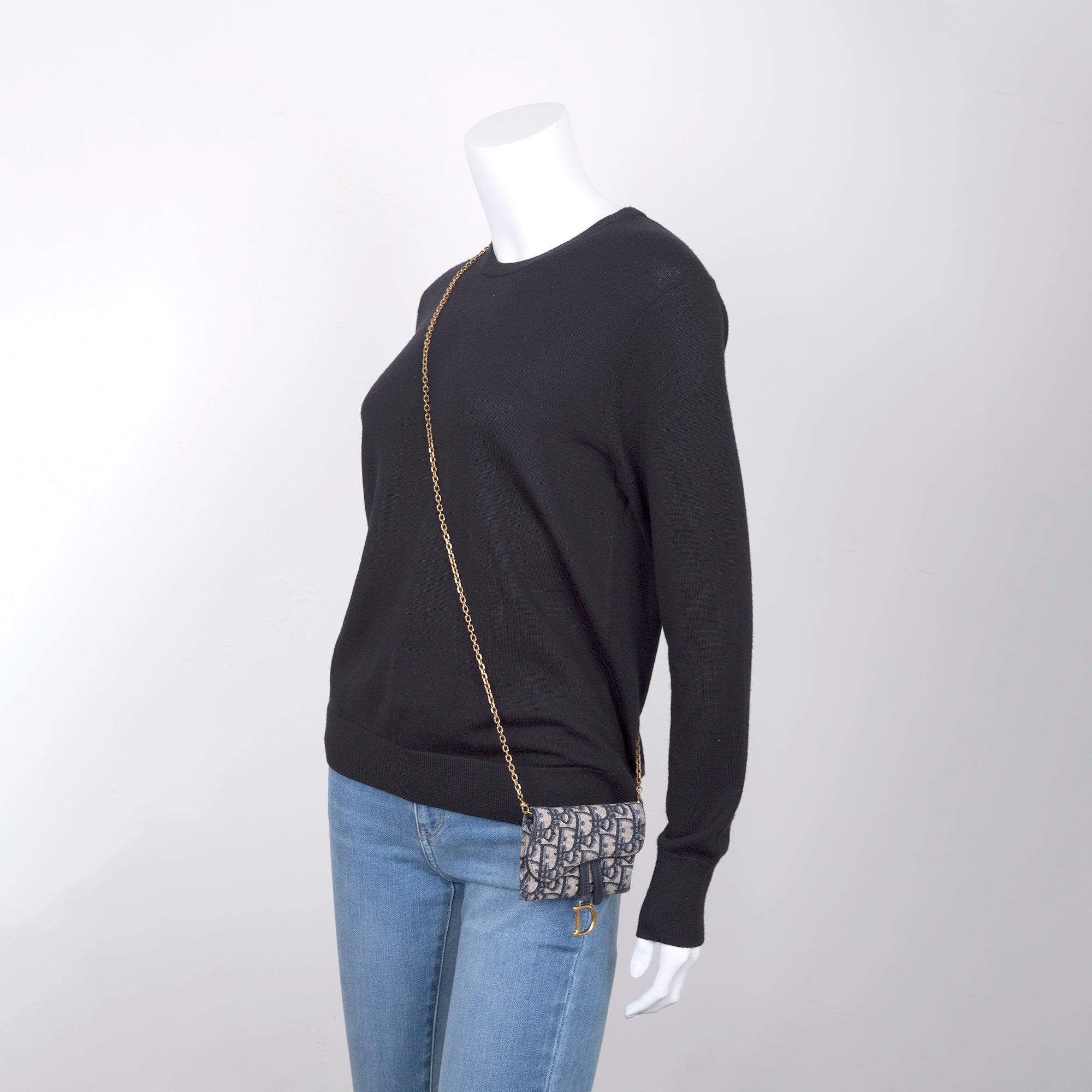 Christian Dior Nano Saddle Chain Pouch