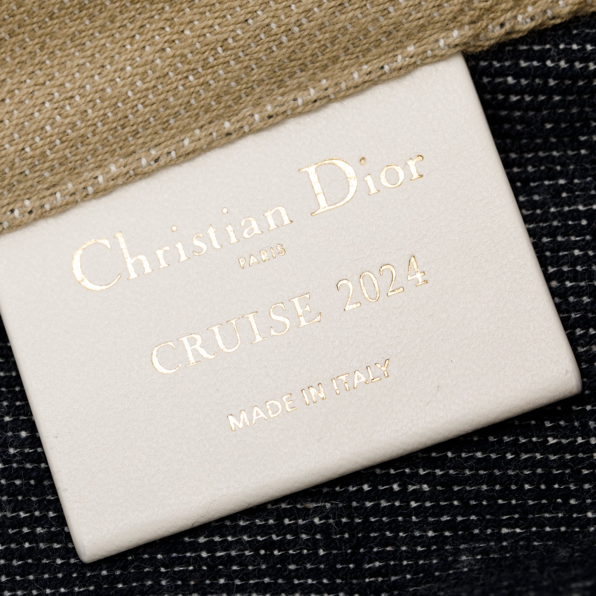 Christian Dior Neutral Canvas Cruise 2024 Mexico Print City Tote