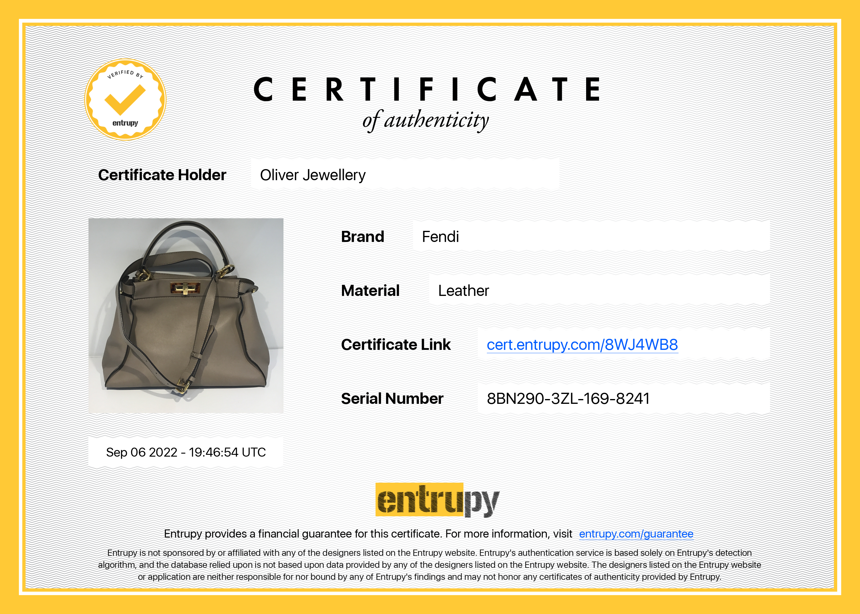 Fendi Medium Peekaboo Bag with Tortoise Detail w/ Strap