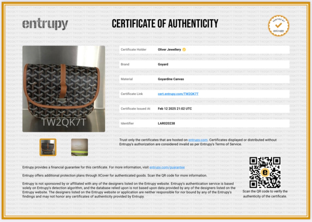 Goyard 2023 Brown Leather & Monogram Canvas Belvedere II PM Crossbody Bag