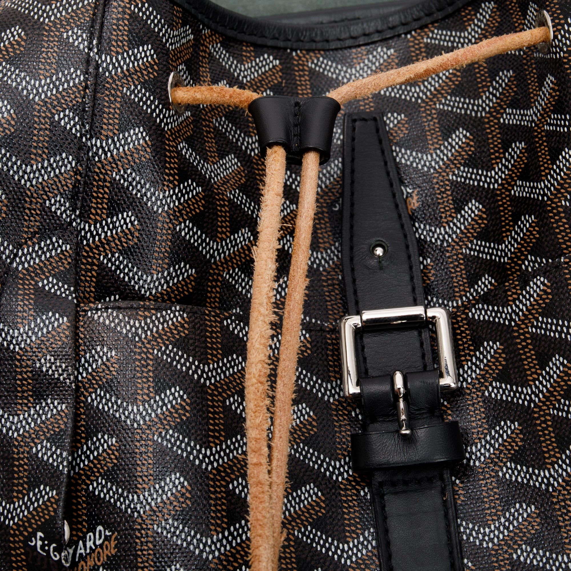 Goyard Black Goyardine Calfskin Alpin Backpack MM