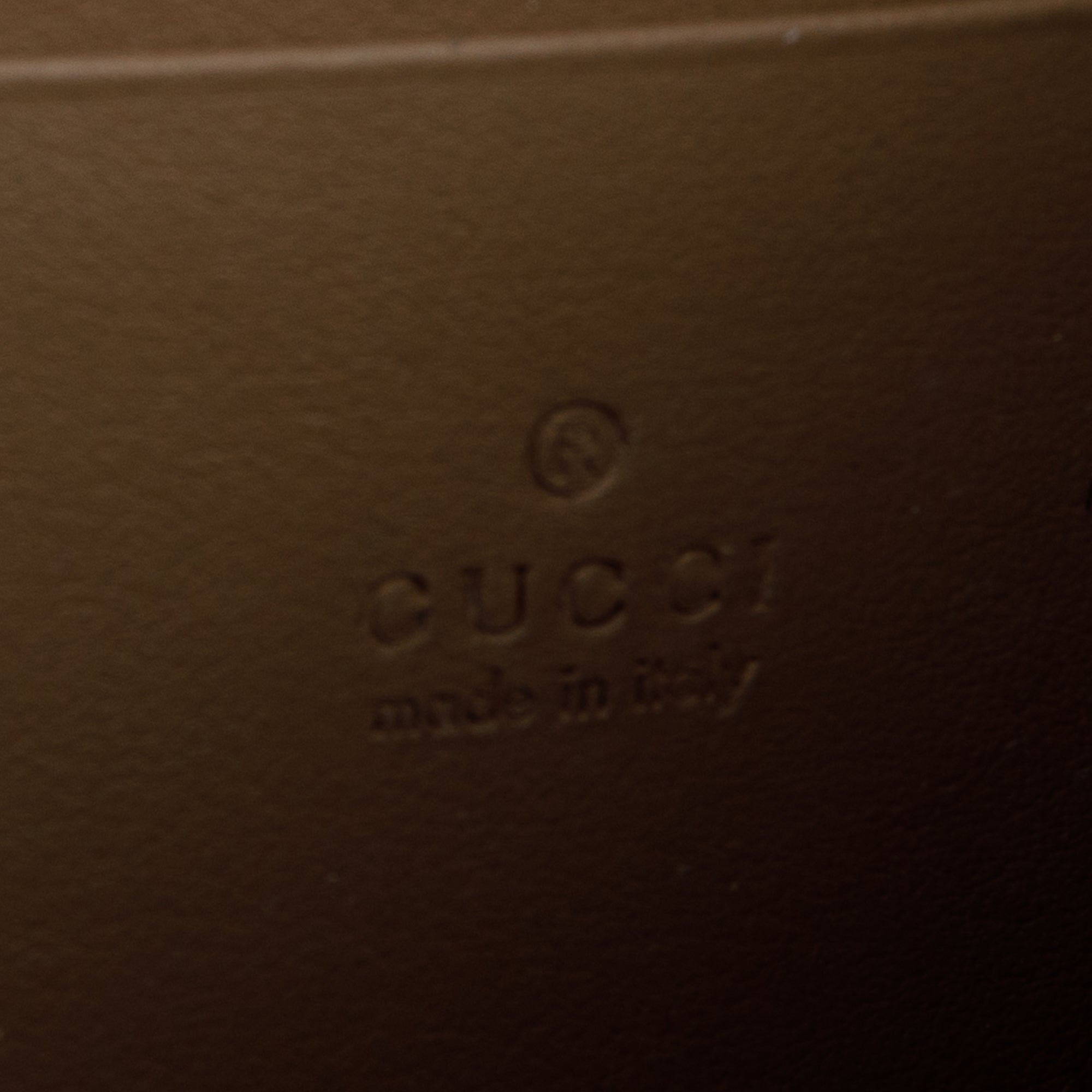 Gucci Dionysus GG Supreme Wallet on Chain w/ Box