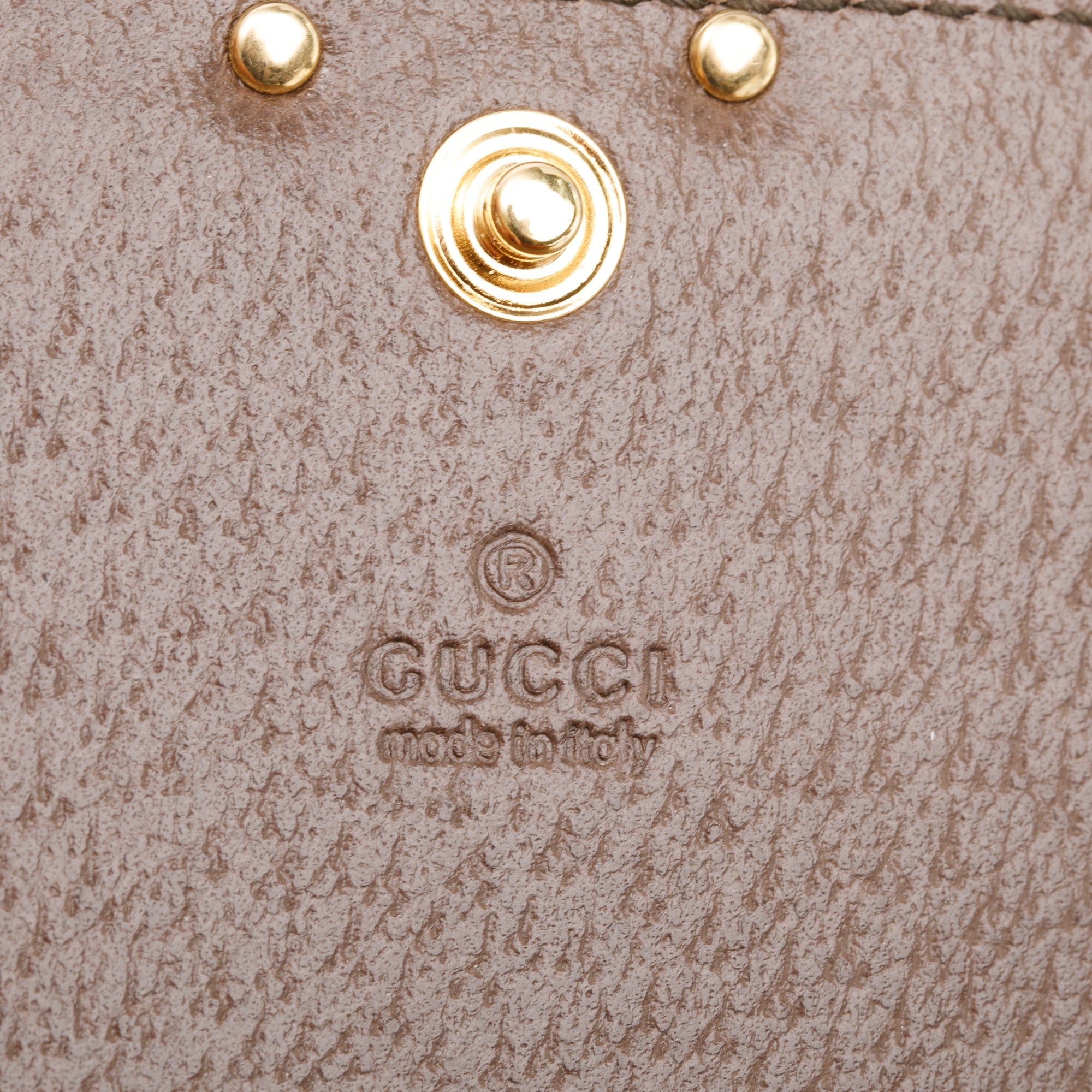 Gucci GG Supreme Ophidia Web Headphones Case Bag