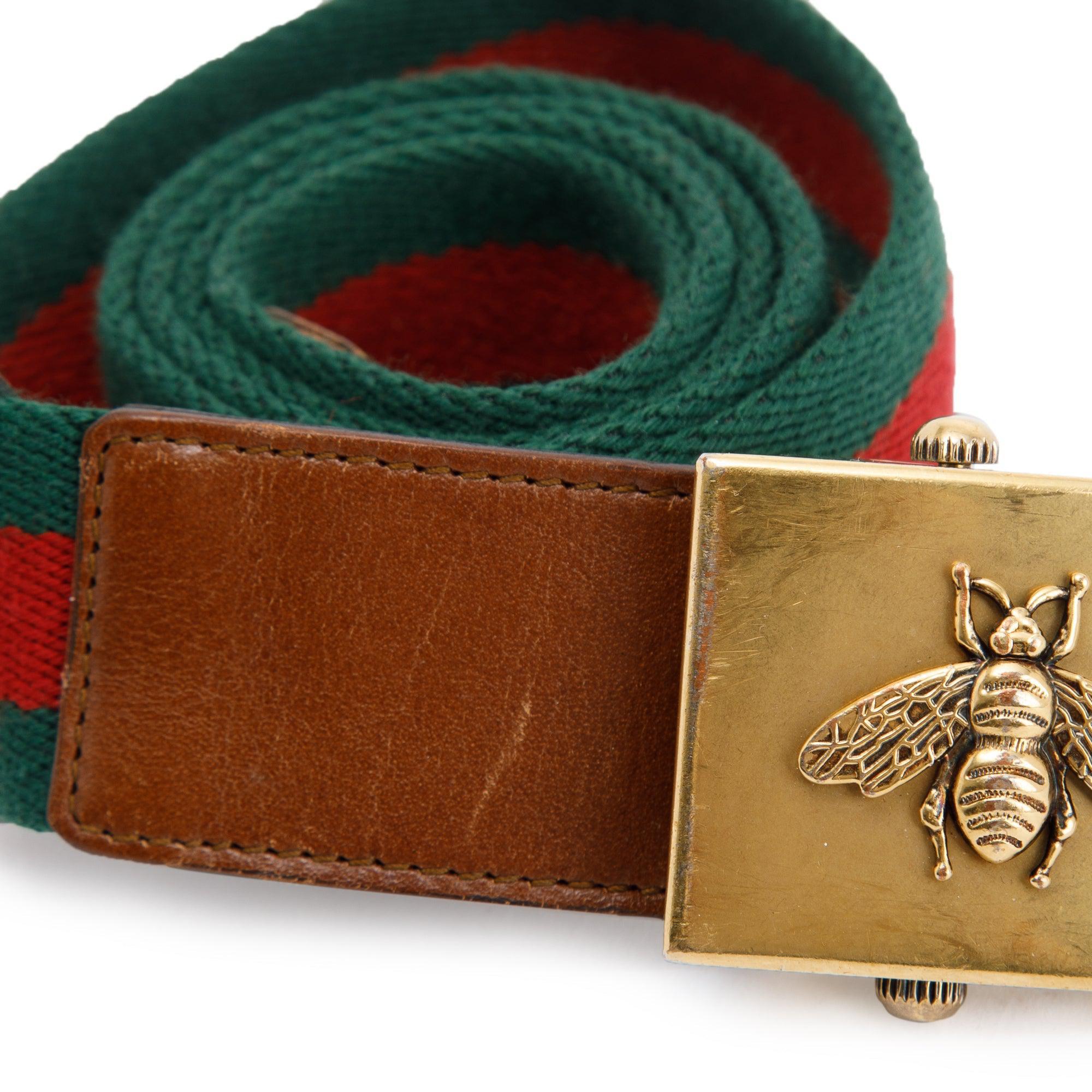 Gucci Green & Red Web Canvas & Brown Leather Belt with Rectangle Bee Buckle
