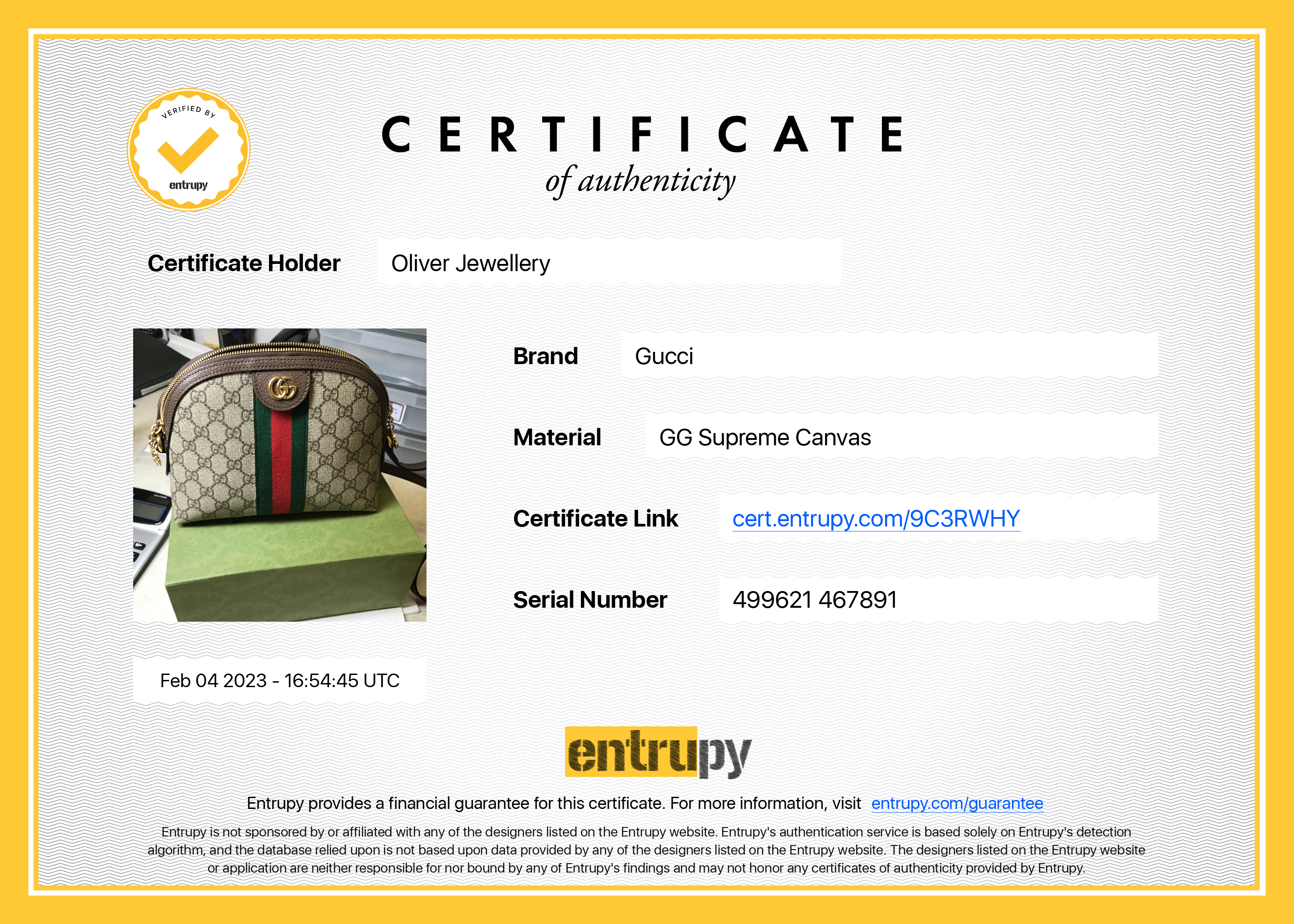 Gucci Ophidia GG Small Shoulder Bag w/ Box