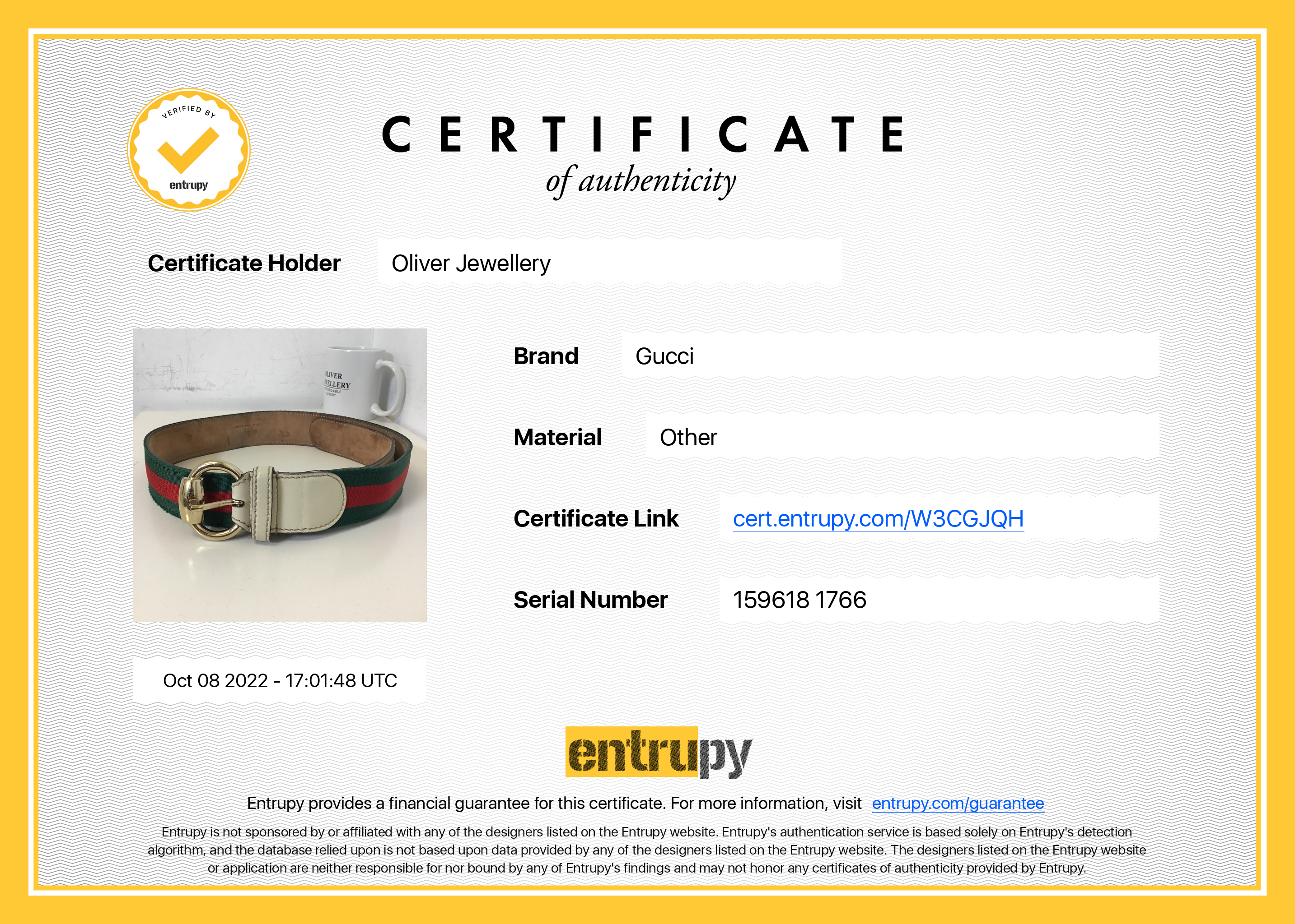 Gucci Web Belt with Horsebit Buckle