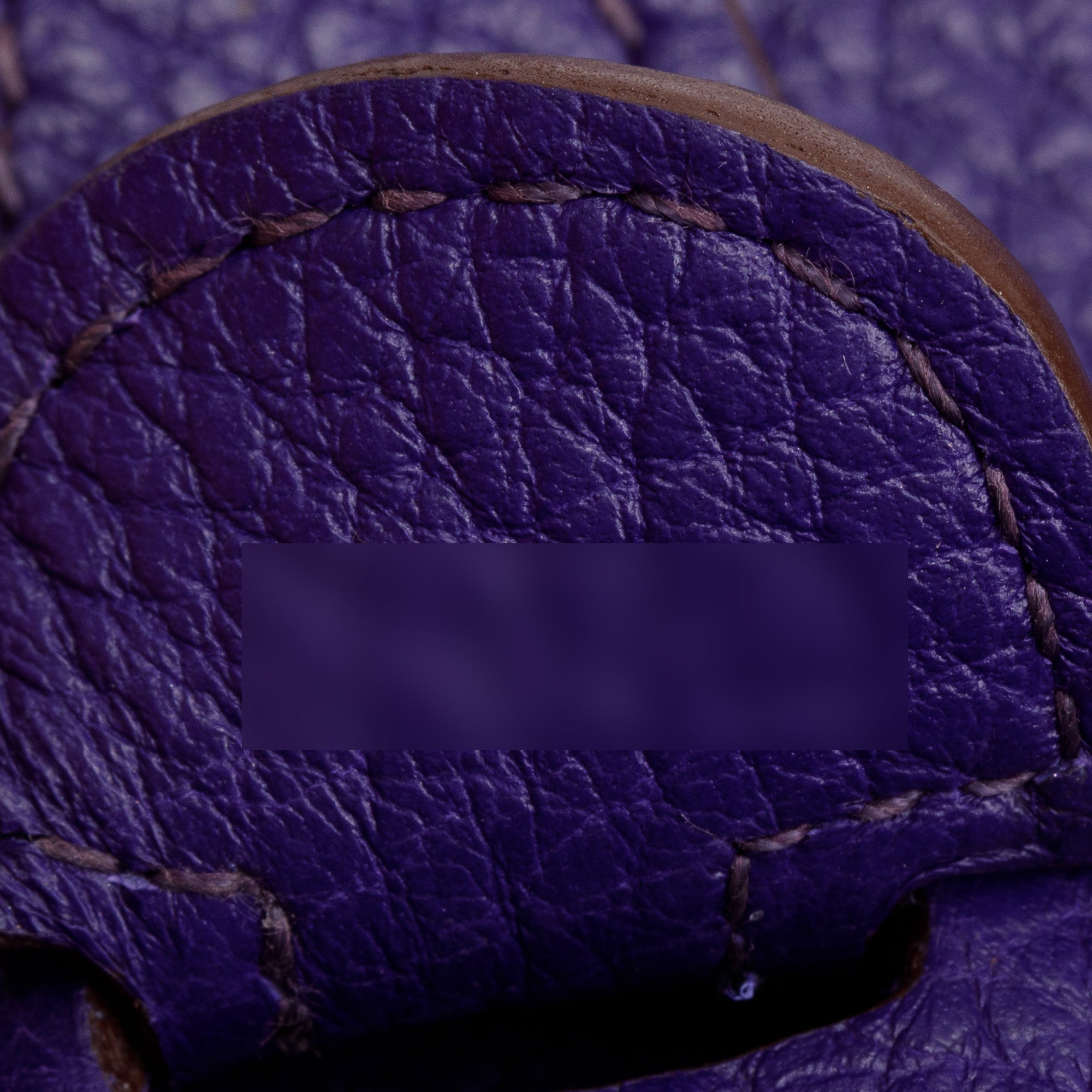 Hermes Iris Clemence Leather Evelyne III PM Bag