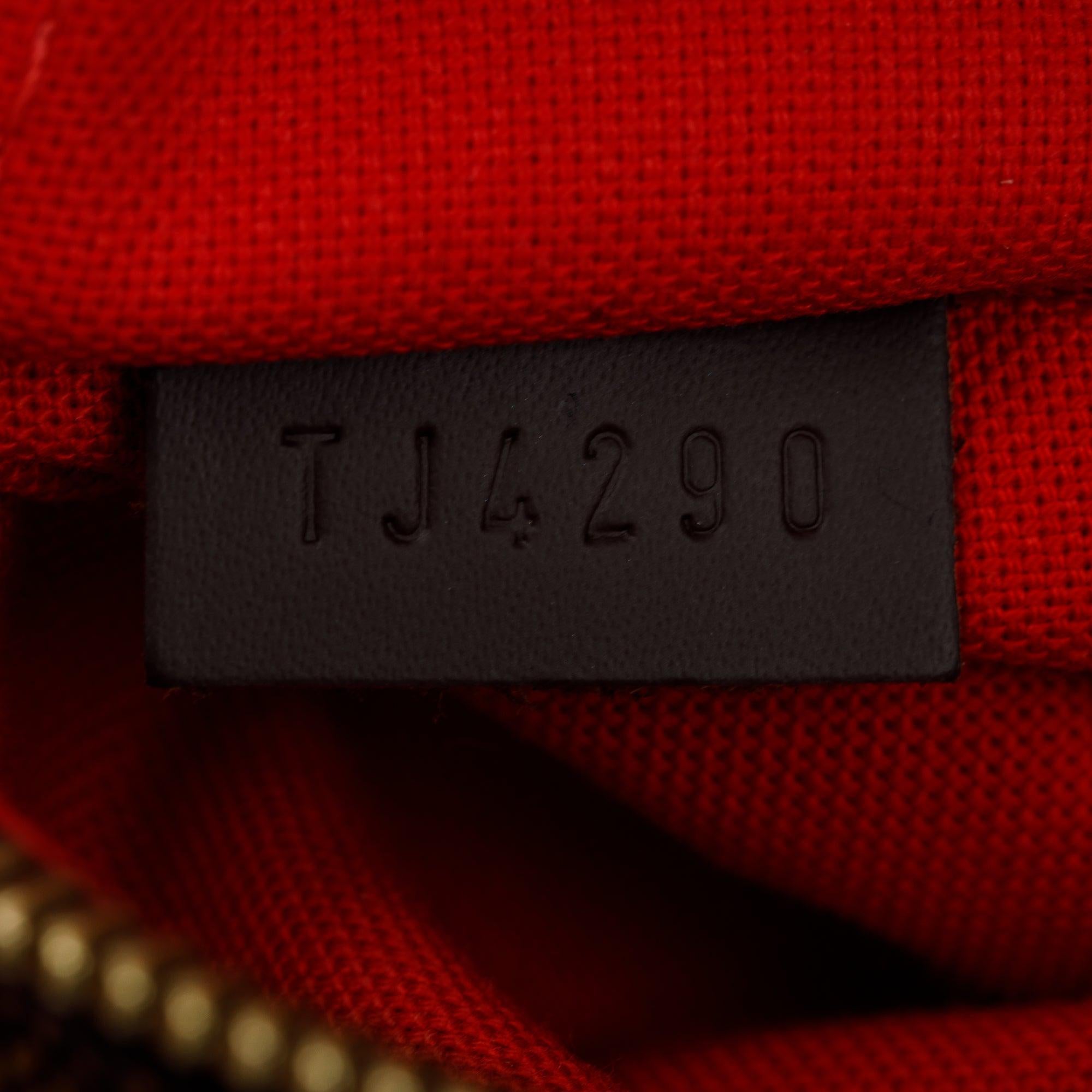 Louis Vuitton 2020 Damier Ebene Siena MM w/ Strap & Box