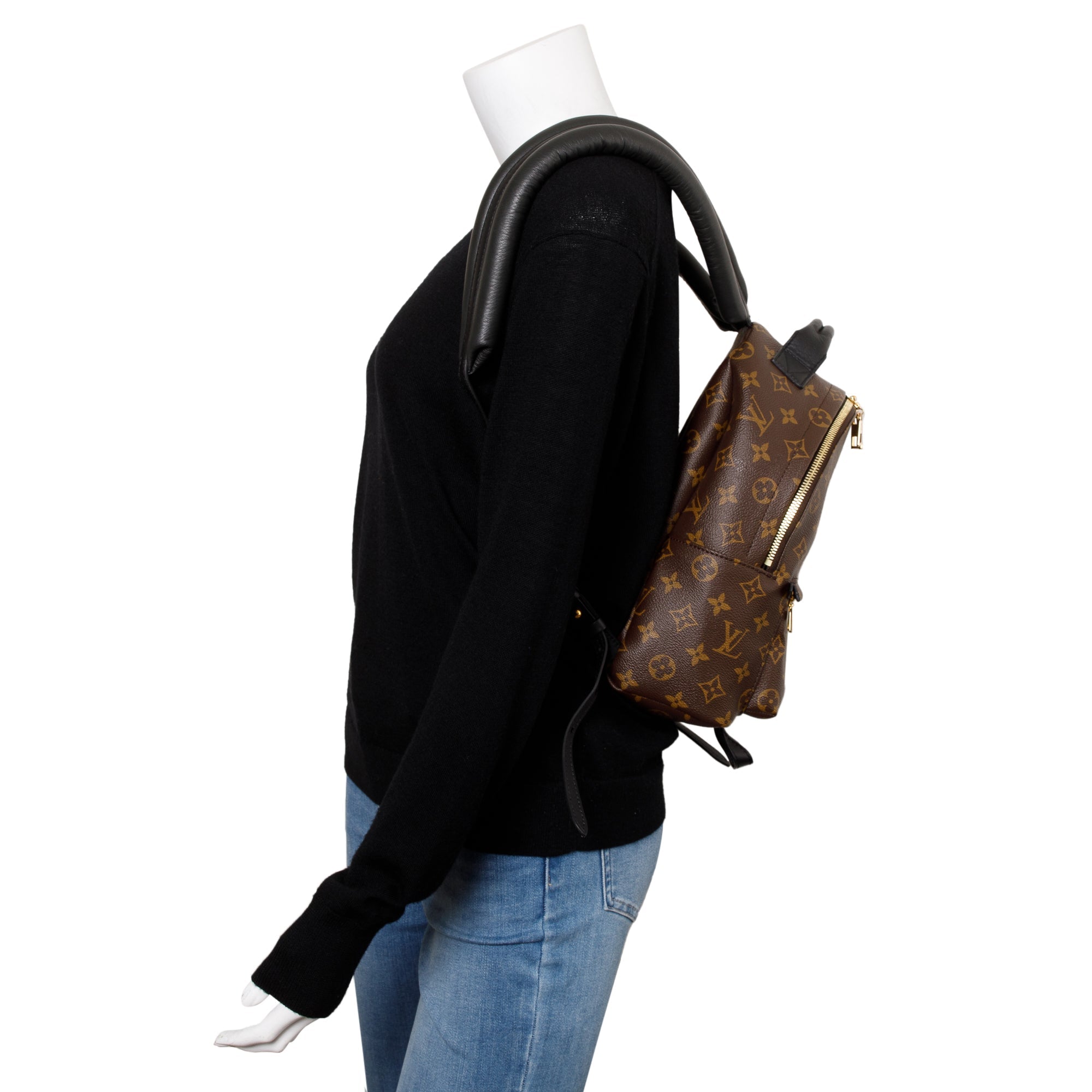 Louis Vuitton 2020 Monogram Palm Springs Backpack PM