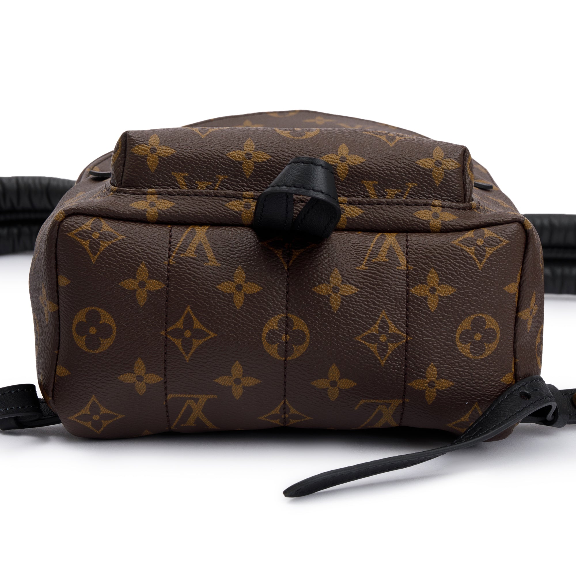 Louis Vuitton 2020 Monogram Palm Springs Backpack PM