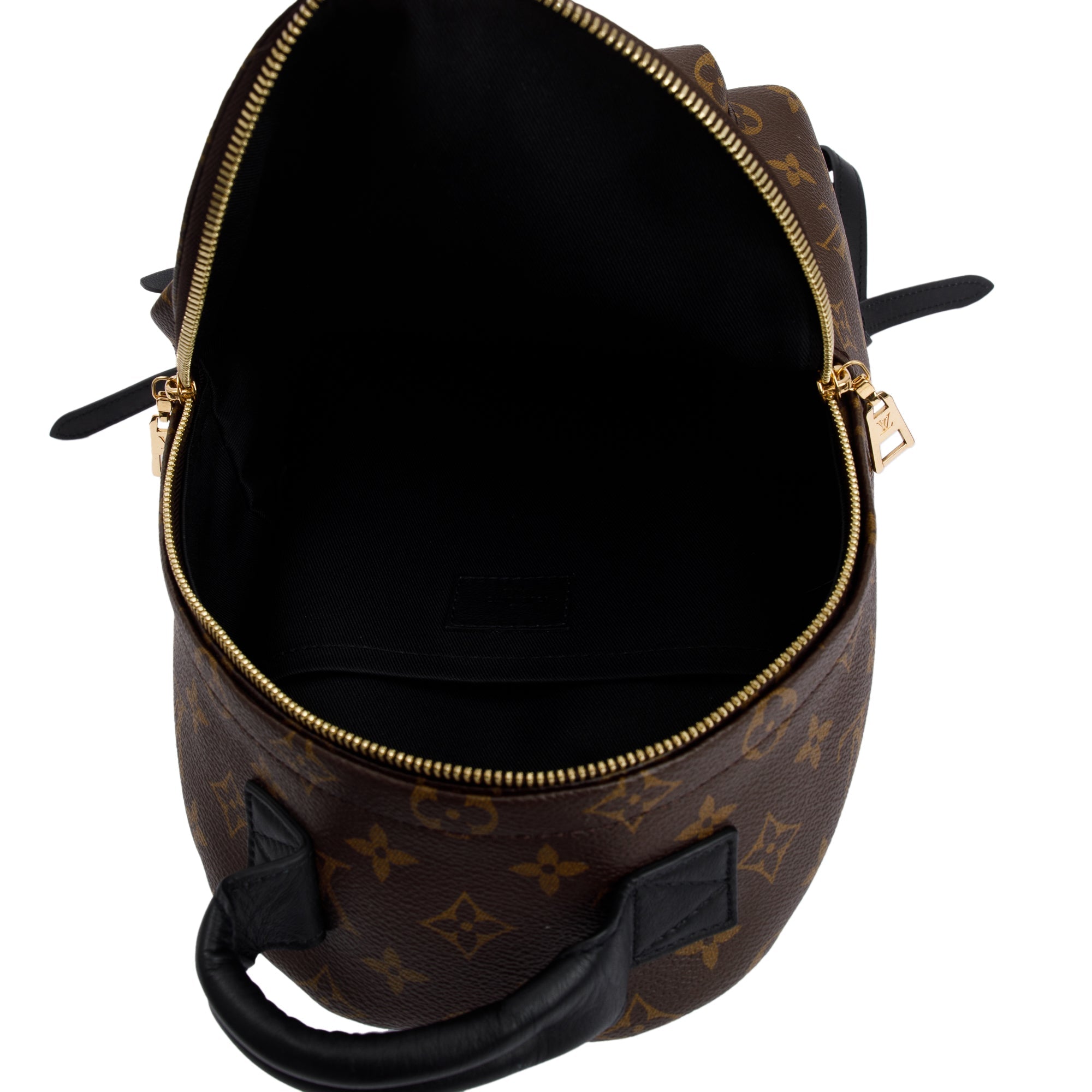 Louis Vuitton 2020 Monogram Palm Springs Backpack PM