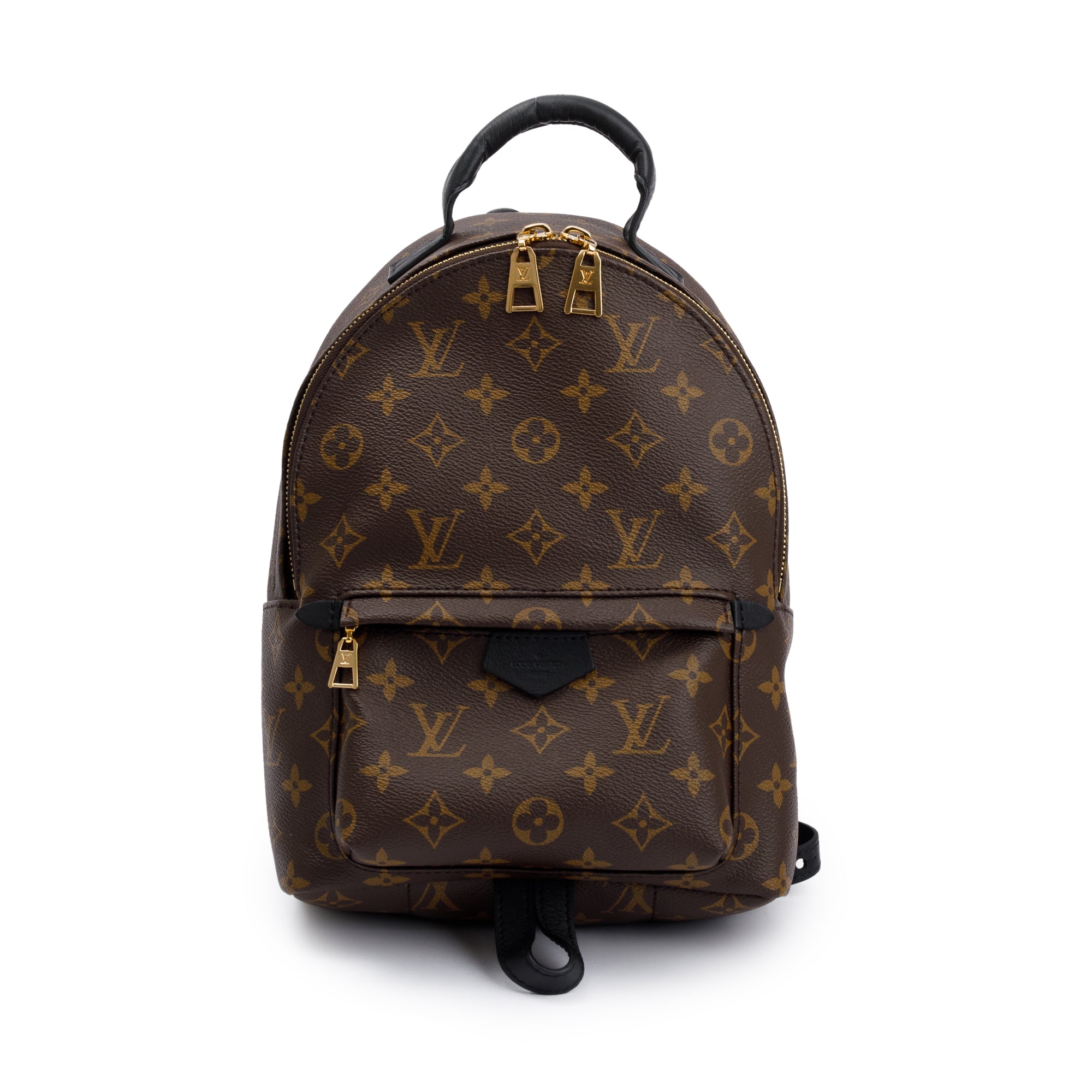 Louis Vuitton 2020 Monogram Palm Springs Backpack PM