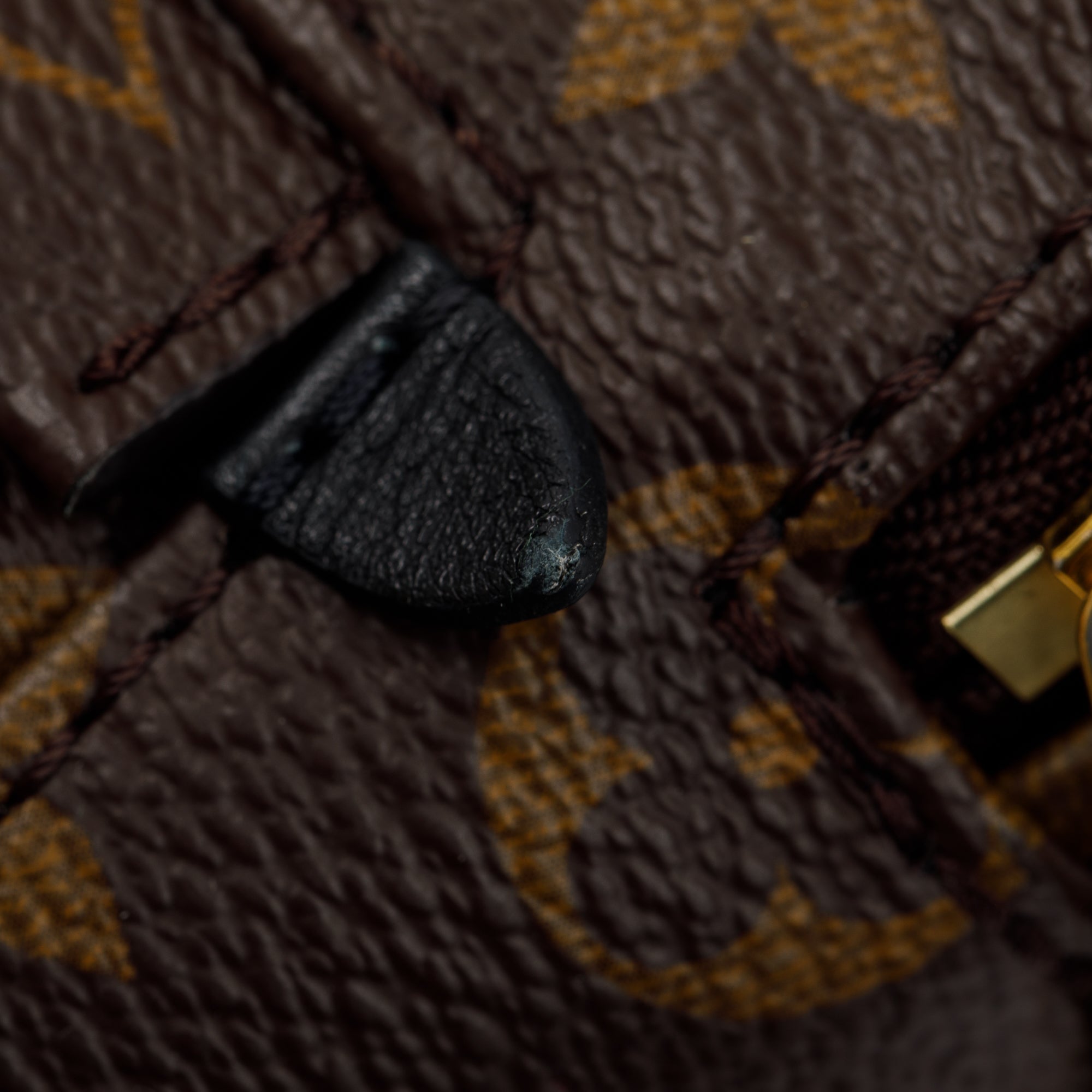 Louis Vuitton 2020 Monogram Palm Springs Mini Backpack w/ Box