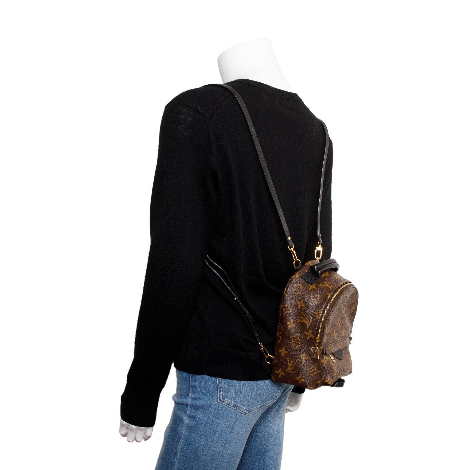 Louis Vuitton 2020 Monogram Palm Springs Mini Backpack w/ Box