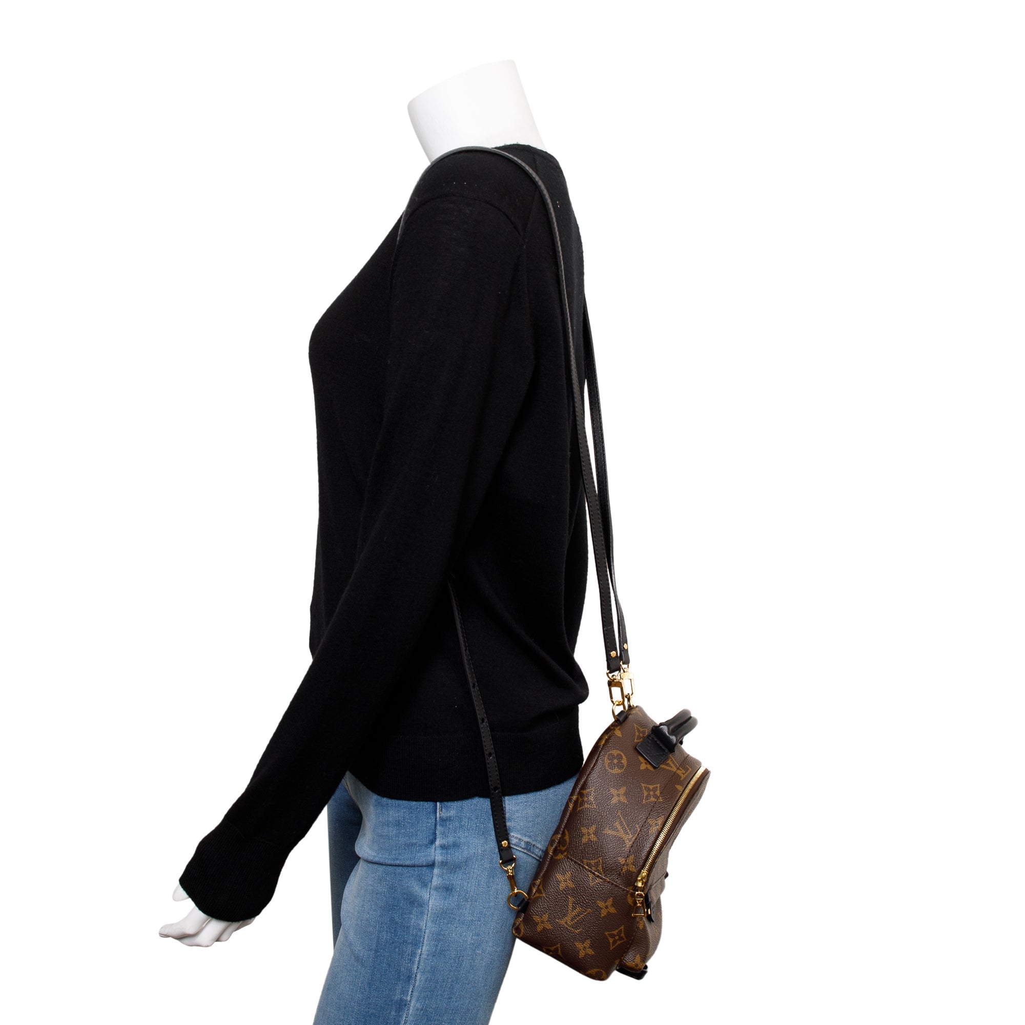 Louis Vuitton 2020 Monogram Palm Springs Mini Backpack w/ Box