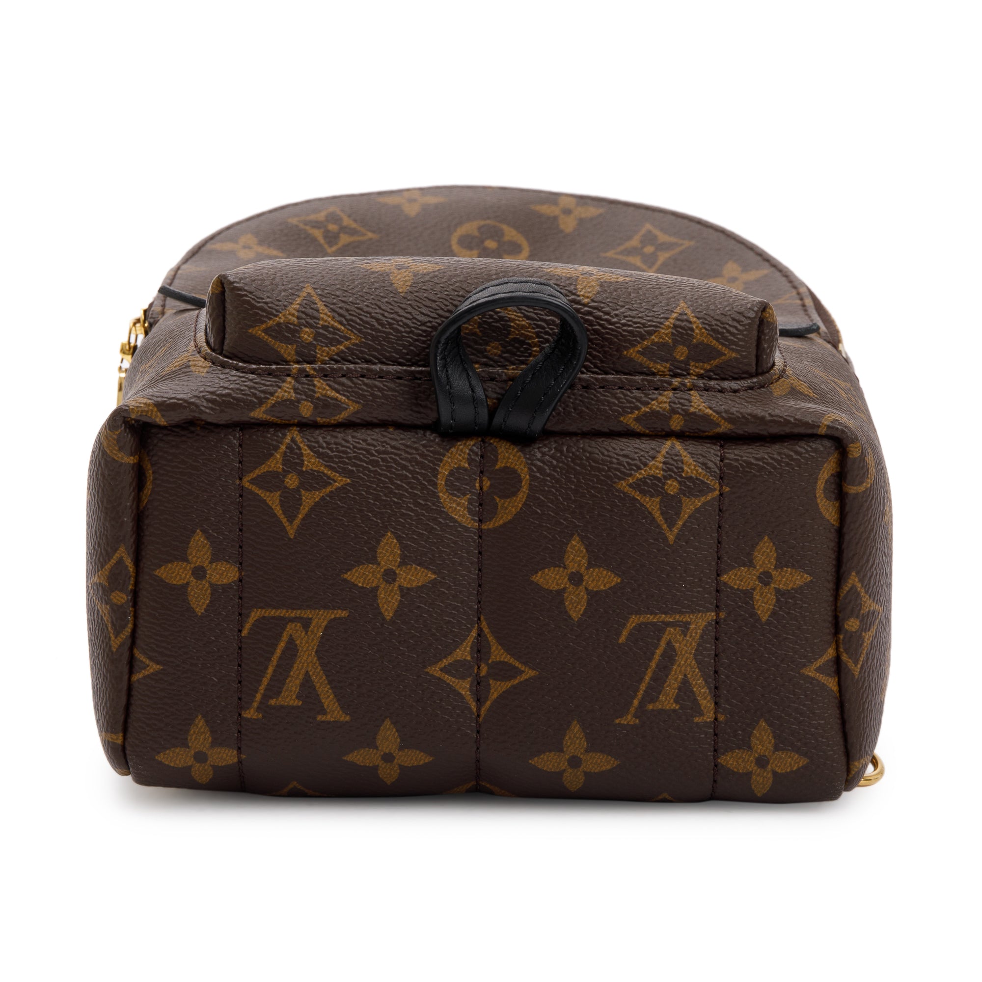 Louis Vuitton 2020 Monogram Palm Springs Mini Backpack w/ Box