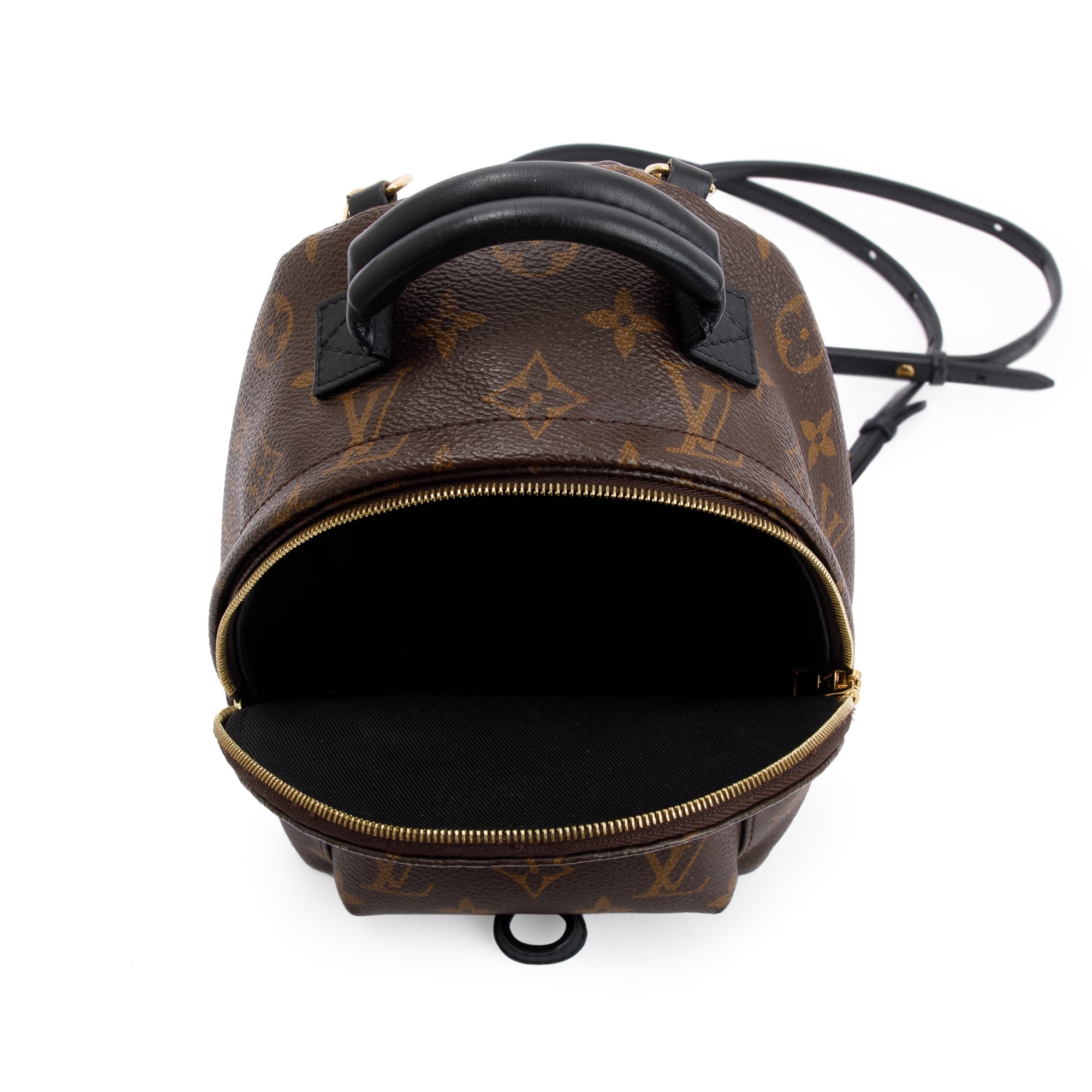 Louis Vuitton 2020 Monogram Palm Springs Mini Backpack w/ Box